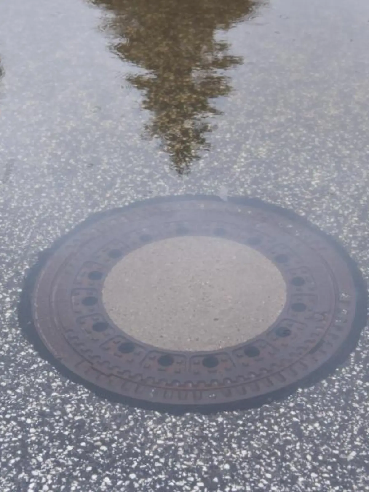 Bäume spiegeln sich im Wasser eines überschwemmten Gullydeckels