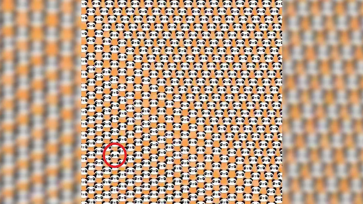 Suchbild: Hier versteckt sich der traurige Panda.