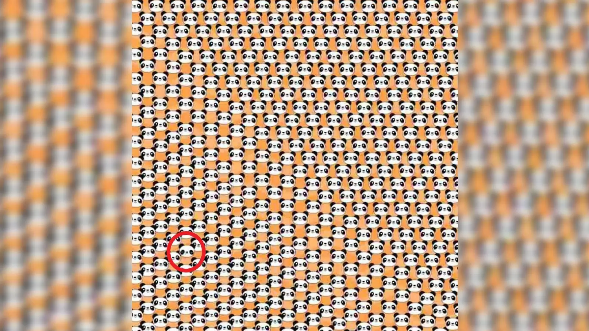 Suchbild: Hier versteckt sich der traurige Panda.