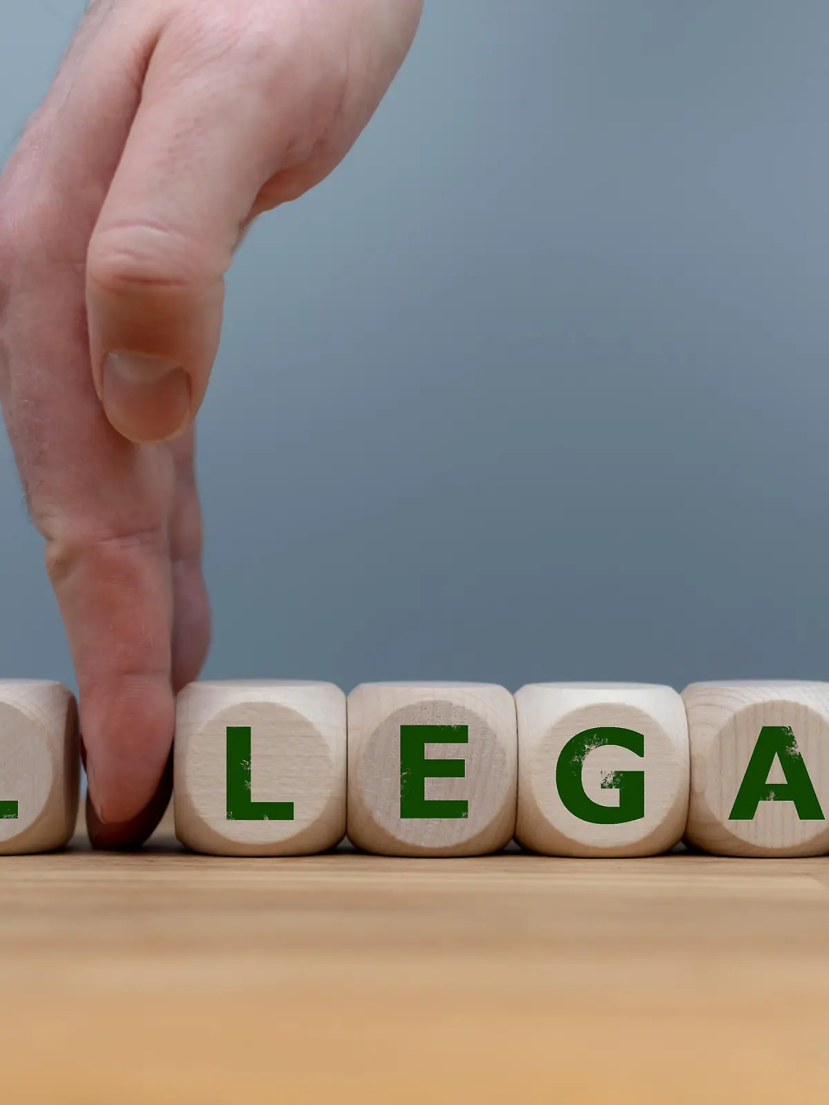 Würfel mit Schriftzug zeigen das Wort legal oder illegal und eine Hanf-Pflanze