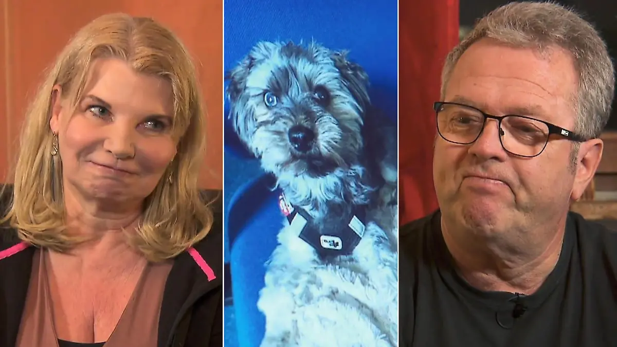 Wegen Wollknäuel Willi: Aus Bettina und Olivenbauer Karl-Heinz wird kein Paar.