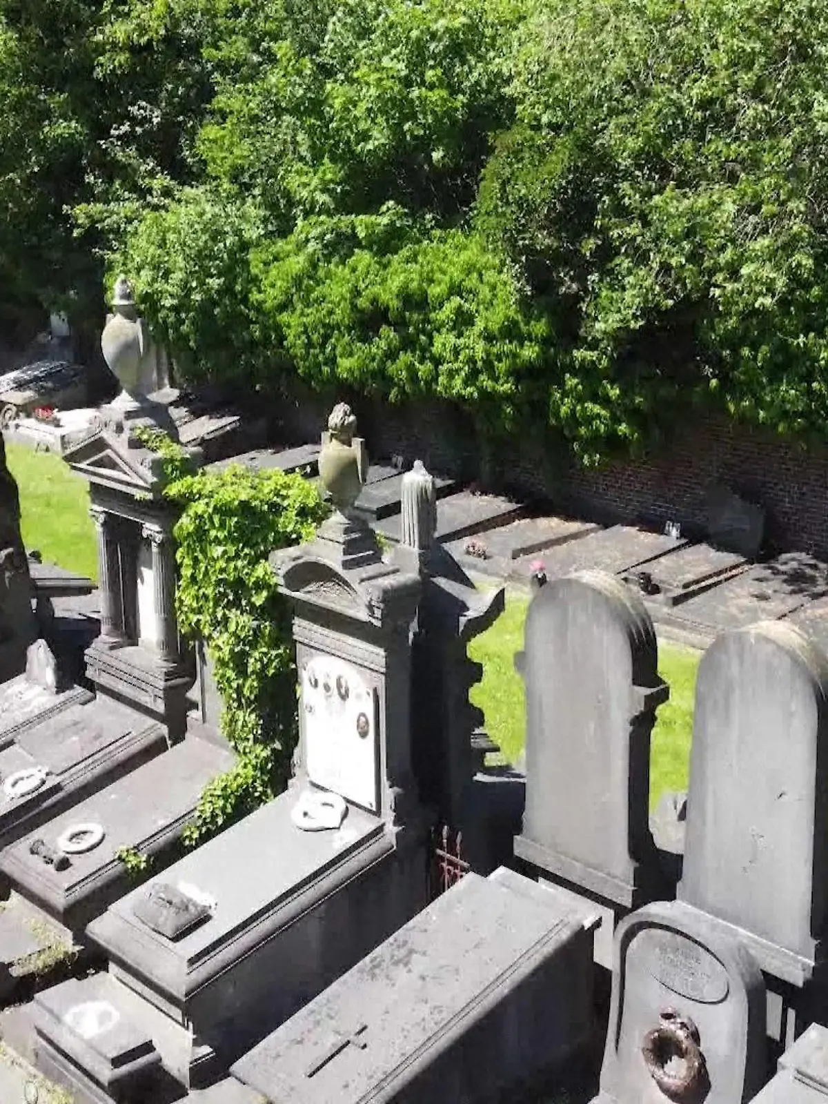Auf dem Westerbegraafplaats Friedhof in Gent (Belgien) ist eine 14-Jährige Opfer einer Gruppenvergewaltigung geworden.