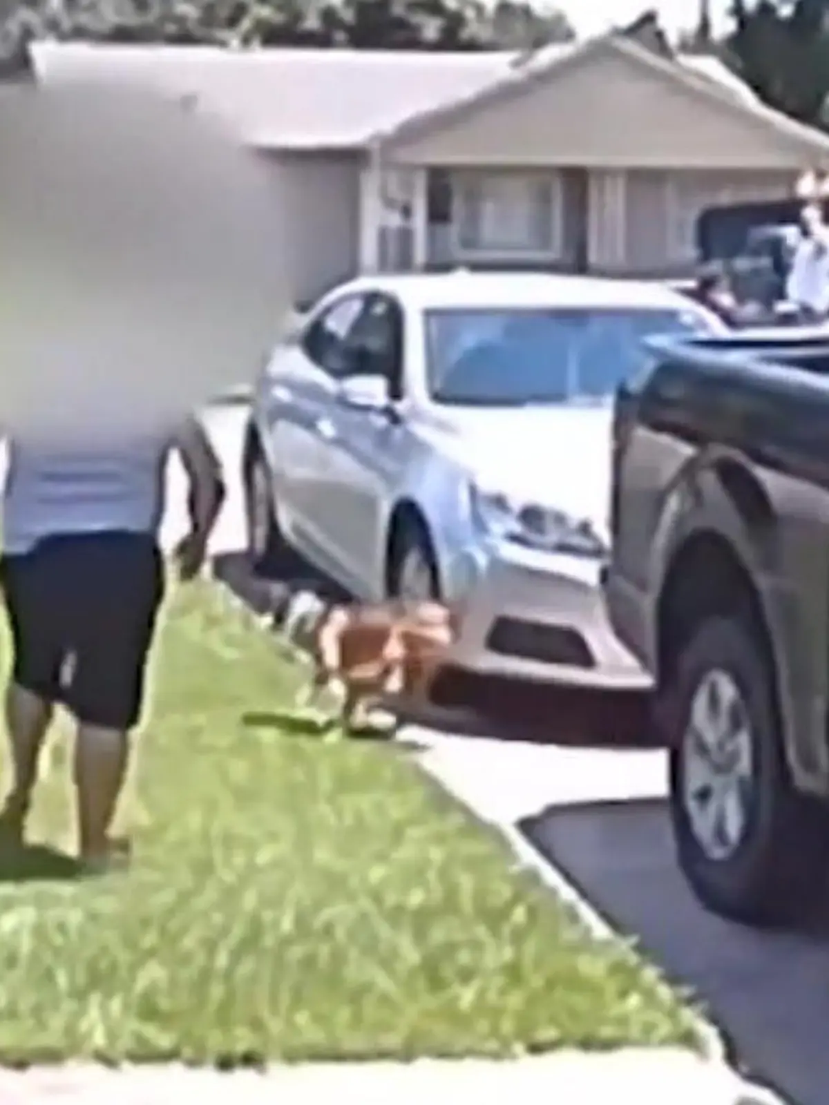 Bild zu: "Frau schießt auf Hund und trifft Sohn"