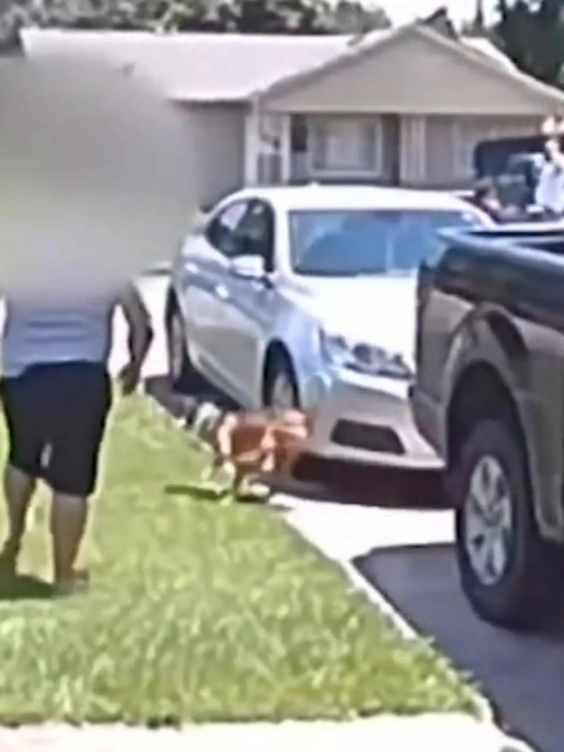 Bild zu: "Frau schießt auf Hund und trifft Sohn"