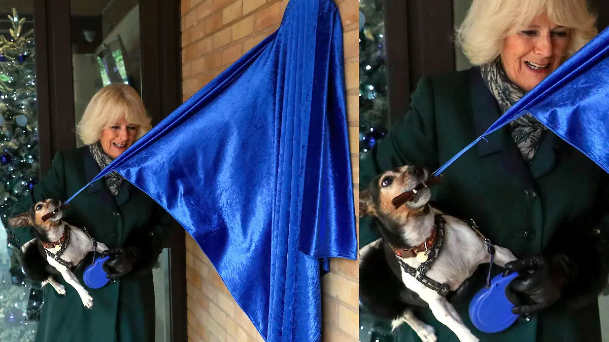 Königin Camilla mit ihrer Hündin Beth im  "Battersea Dogs and Cats Home" im Jahr 2020.