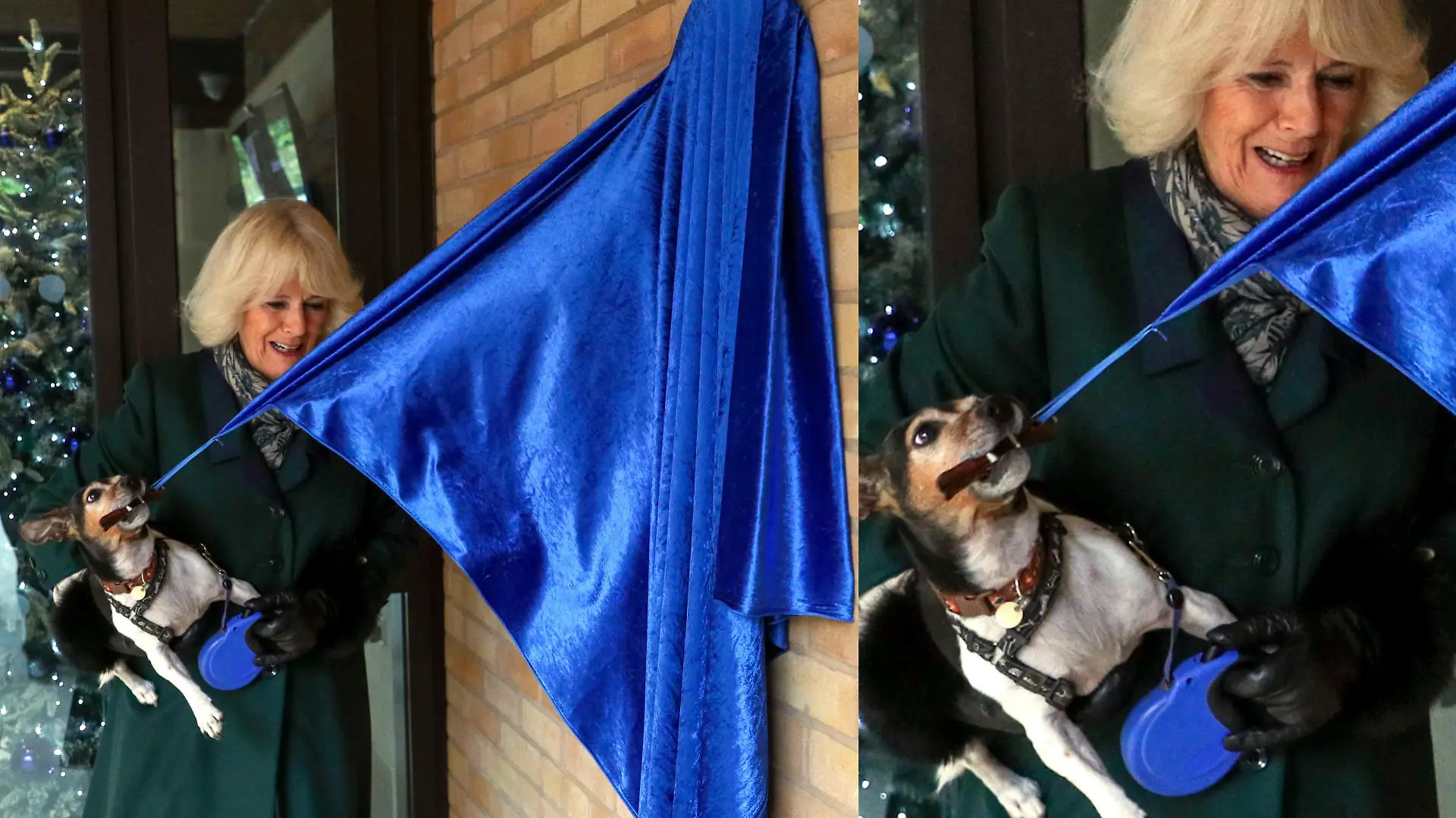 Königin Camilla mit ihrer Hündin Beth im "Battersea Dogs and Cats Home" im Jahr 2020.