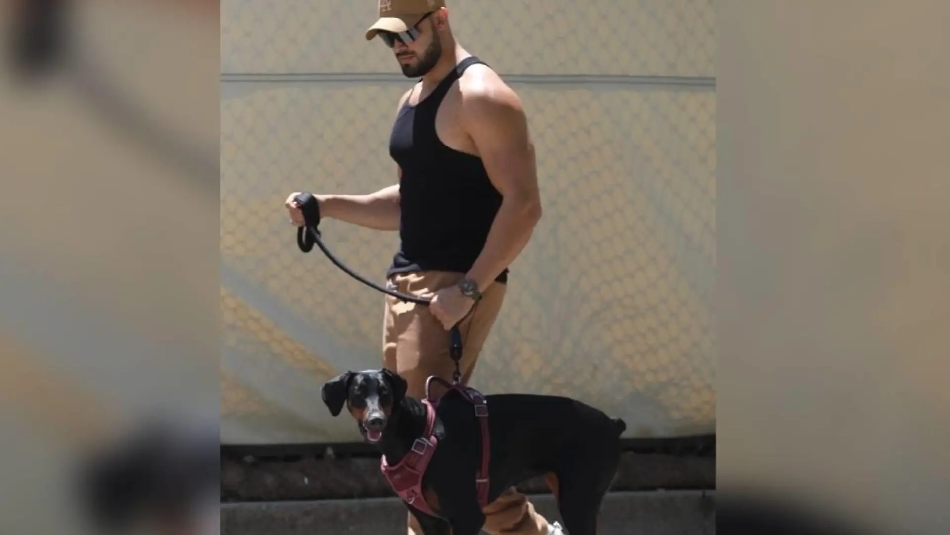 Sam Asghari bekommt das Sorgerecht für Hundedame Porsha.