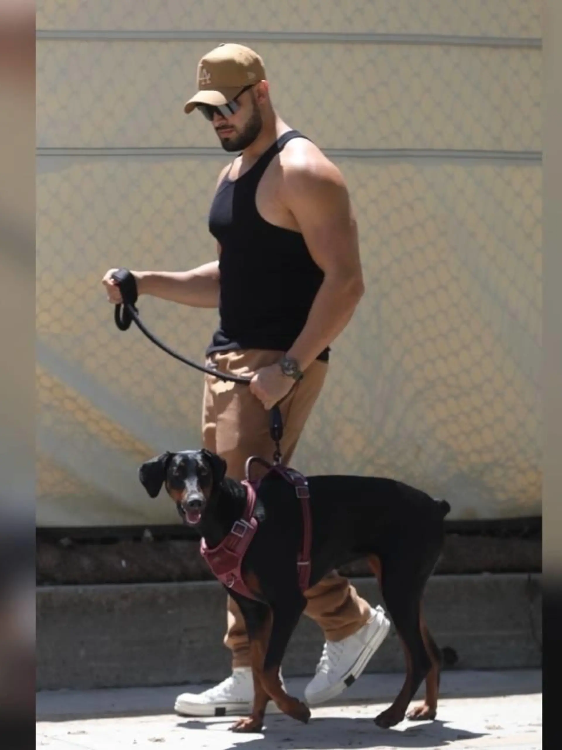 Sam Asghari bekommt das Sorgerecht für Hundedame Porsha.