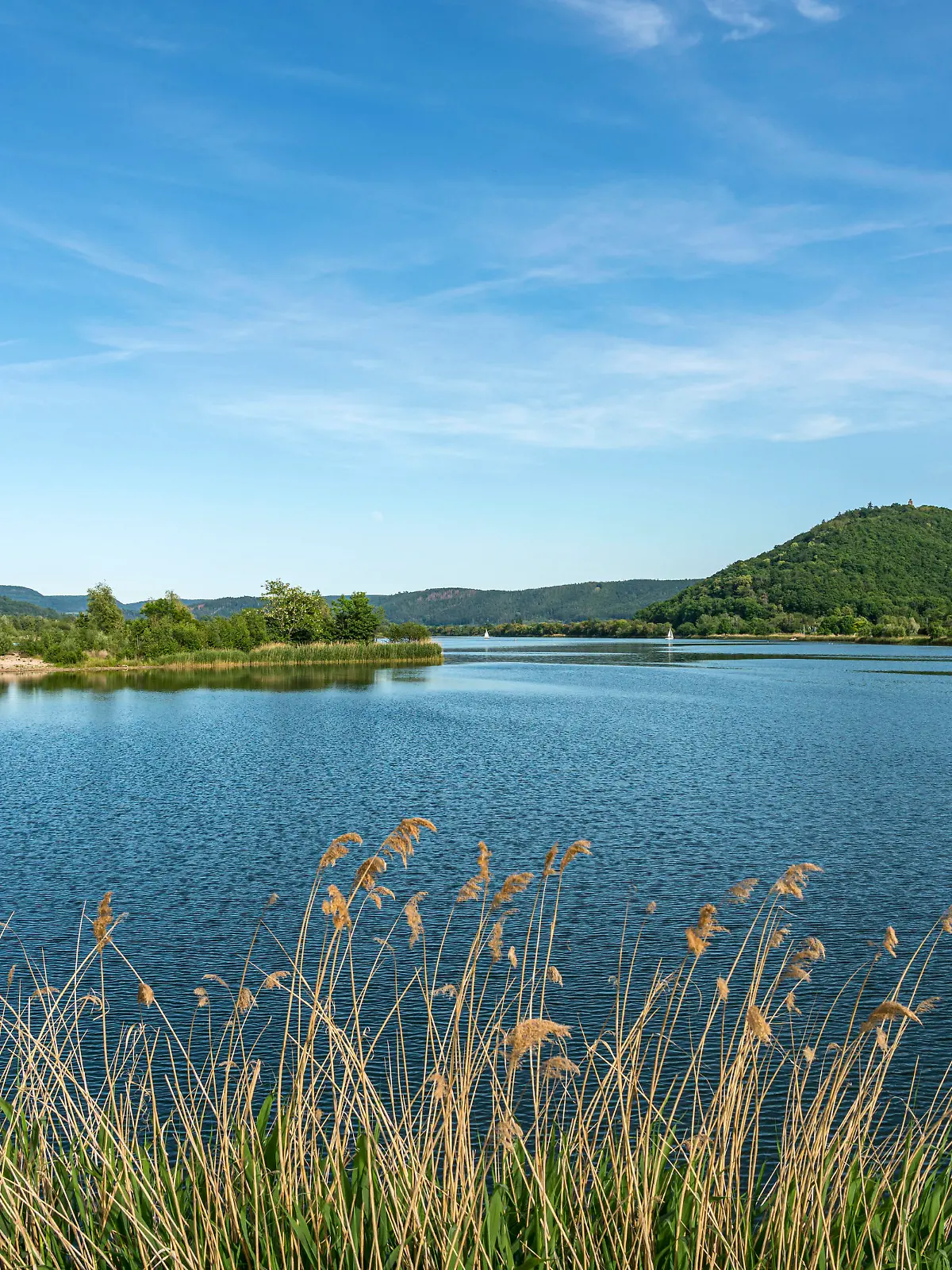 Die Idylle trügt: Im Werratalsee wurde die Leiche eines 33-Jährigen geborgen - die Polizei geht von einem Badeunfall aus.