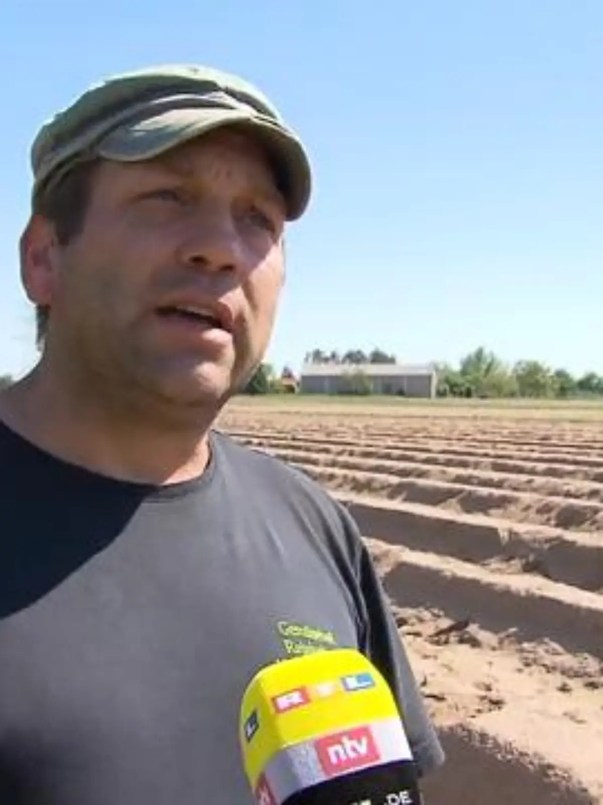 Wer kommt auf die Idee, 300 Kilo Spargel zu klauen? Über Nacht haben Diebe in Ginsheim-Gustavsburg (Hessen) Spargeldämme auf einer Gesamtlänge von sechs Kilometern regelrecht leergestochen. Der betroffene Bauer Kai Reinheimer ist sich sicher: Bei der dreisten Aktion sind Profis am Werk gewesen. "Die waren gut, das muss ich leider sagen", erklärt er im RTL-Interview. "Du musst den Spargel ja finden, ordentlich ausgraben und im richtigen Winkel anstechen, damit er nicht zerbricht."
