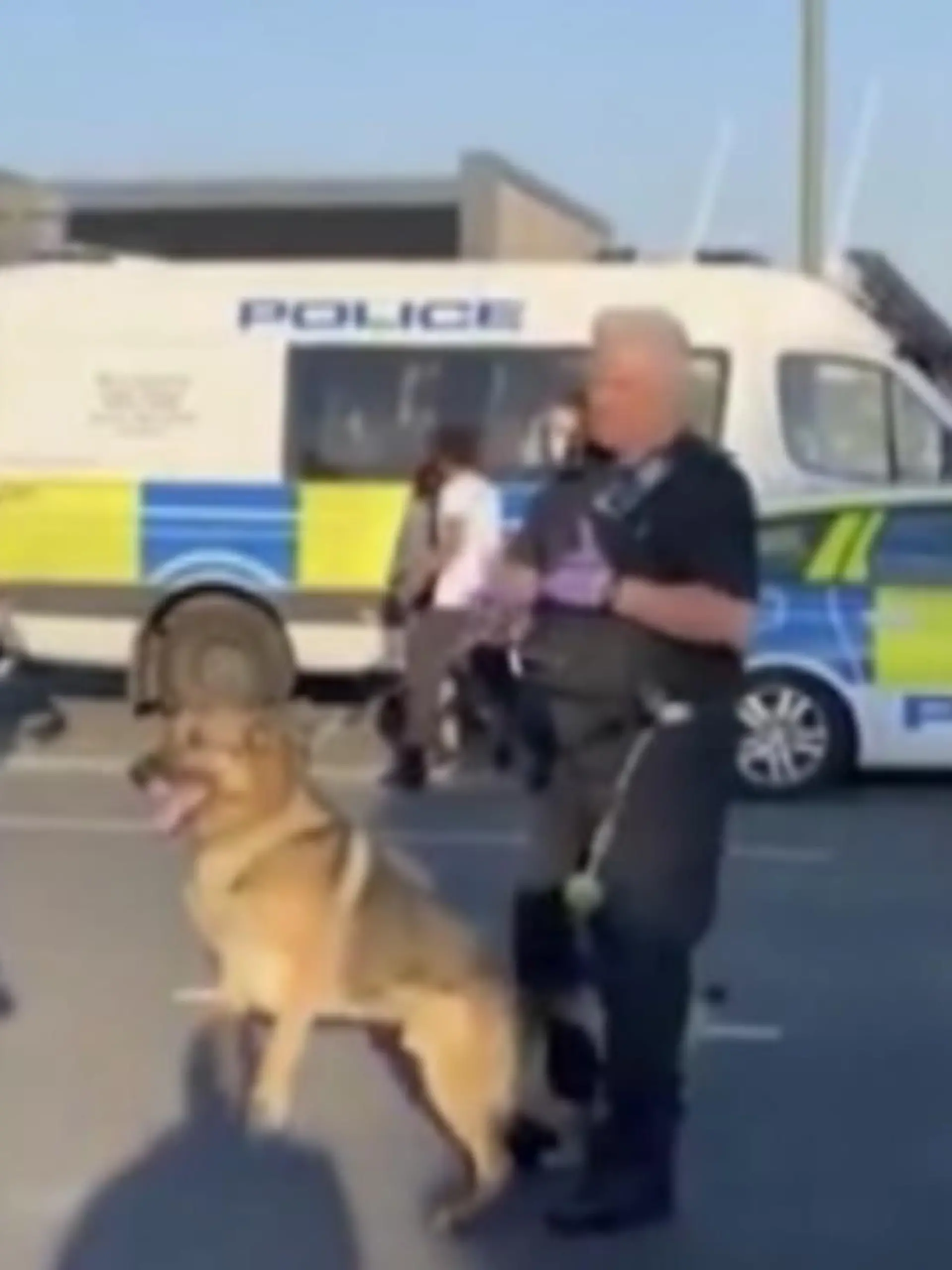 Ein Polizist in London ist bei einem Einsatz von seinem eigenen Hund gebissen worden.  Schaulustige stachelten den Hund an. Schließlich drehte er sich um und biss sein Herrchen.