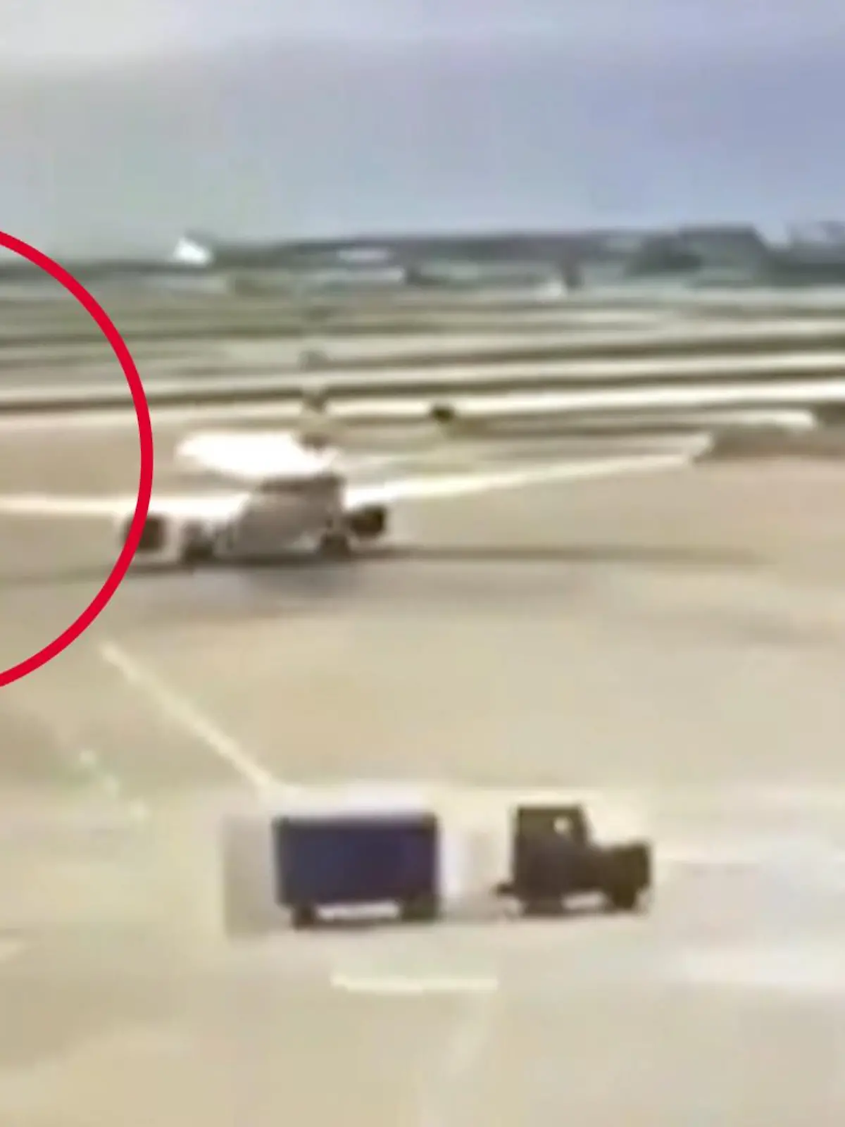 Bild zu: "Pilot fällt Mast - mit der Tragfläche"