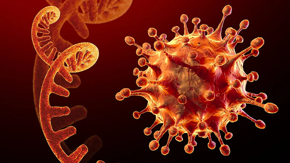 Symbolbild Coronavirus