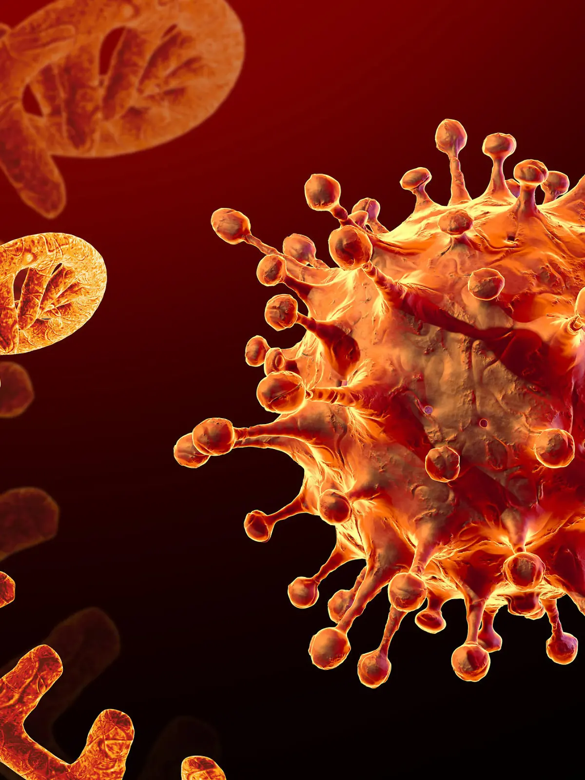 Symbolbild Coronavirus