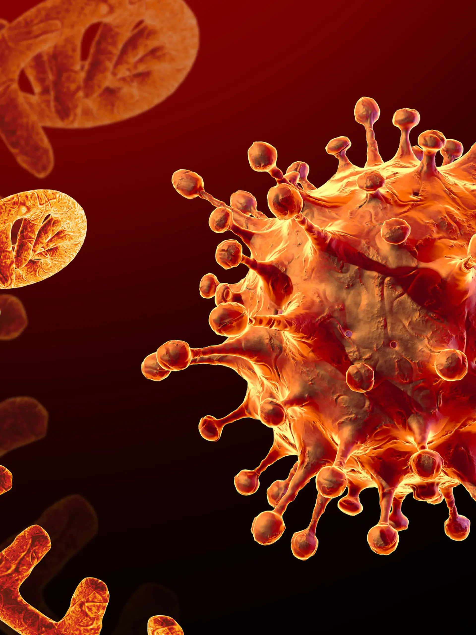 Symbolbild Coronavirus