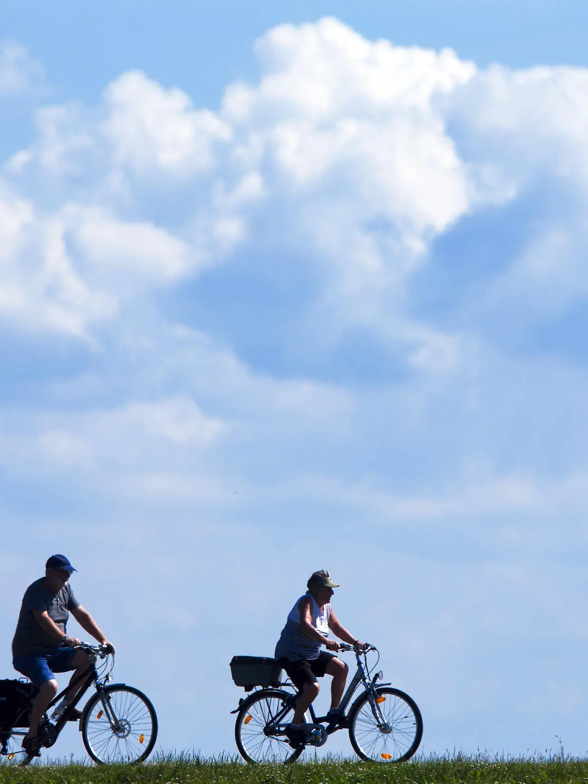 ARCHIV - Urlauber radeln am 25.06.2014 in der Nähe von Zingst (Mecklenburg-Vorpommern) auf der Ostseehalbinsel Fischland-Darß auf dem Deich zum Barther Bodden. Am 10.05.2017 findet in Boizenburg (Mecklenburg-Vorpommern) die Frühjahrsdeichschau mit Umweltminister Backhaus statt. (zu dpa «Frühjahrsdeichschau an der Elbe bei Boizenburg» vom 10.05.2017) Foto: Jens Büttner/dpa-Zentralbild/dpa +++(c) dpa - Bildfunk+++