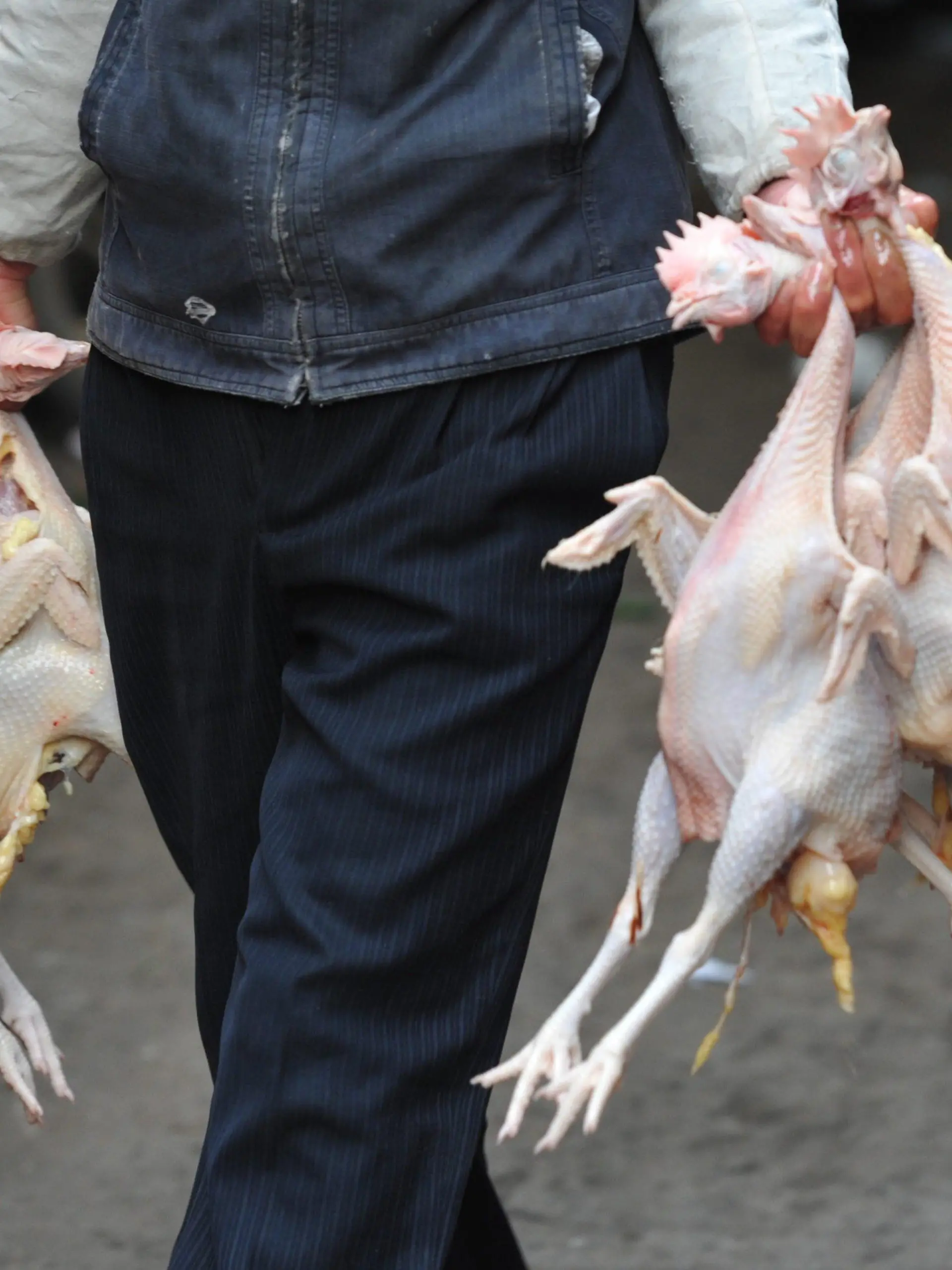 FILE - epa03648362 A vendor carries slaughtered chickens to his stall in a market in Fuyang in central China's Anhui province, 03 April 2013. EPA/AN MING CHINA OUT (zu dpa «Geflügelindustrie möchte Vogelgrippe in China totschweigen» vom 05.02.2014) +++(c) dpa - Bildfunk+++