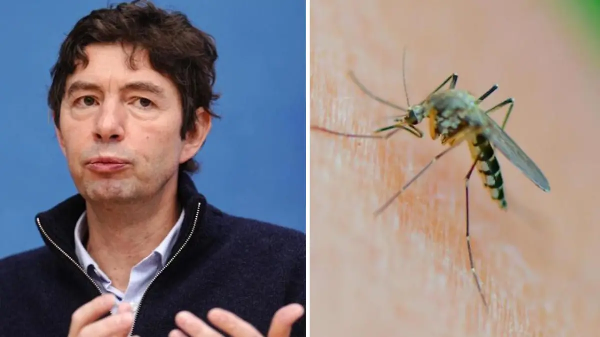 Virologe Christian Drosten bei einer Pressekonferenz / Stechmücke (Symolbilder)