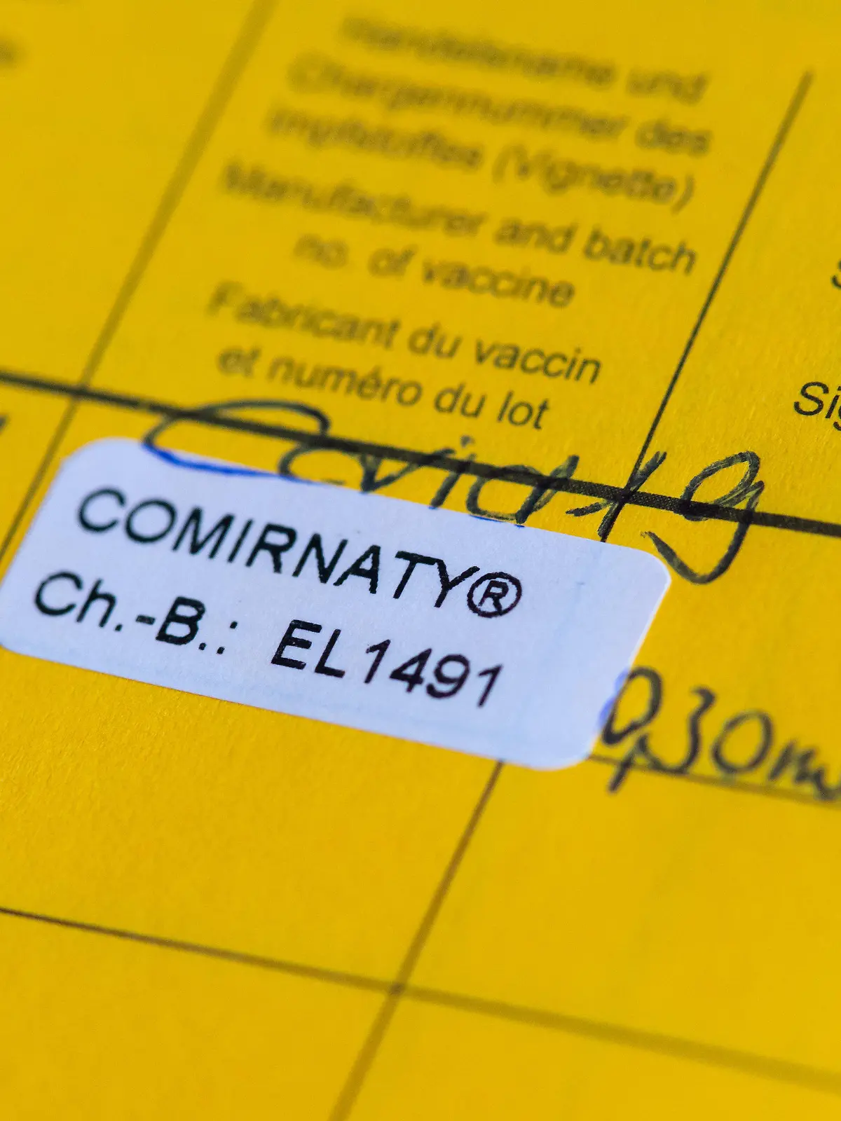 ARCHIV - 10.01.2021, Bayern, Pfaffenhofen a.d.Ilm: Ein Impfpass mit einer eingetragenen Impfung gegen das Corona-Virus SARS-CoV-2 ist im Impfzentrum zu sehen. (zu dpa «Nur wenige Fälle - Polizei findet einige gefälschte Impfpässe») Foto: Sven Hoppe/dpa +++ dpa-Bildfunk +++