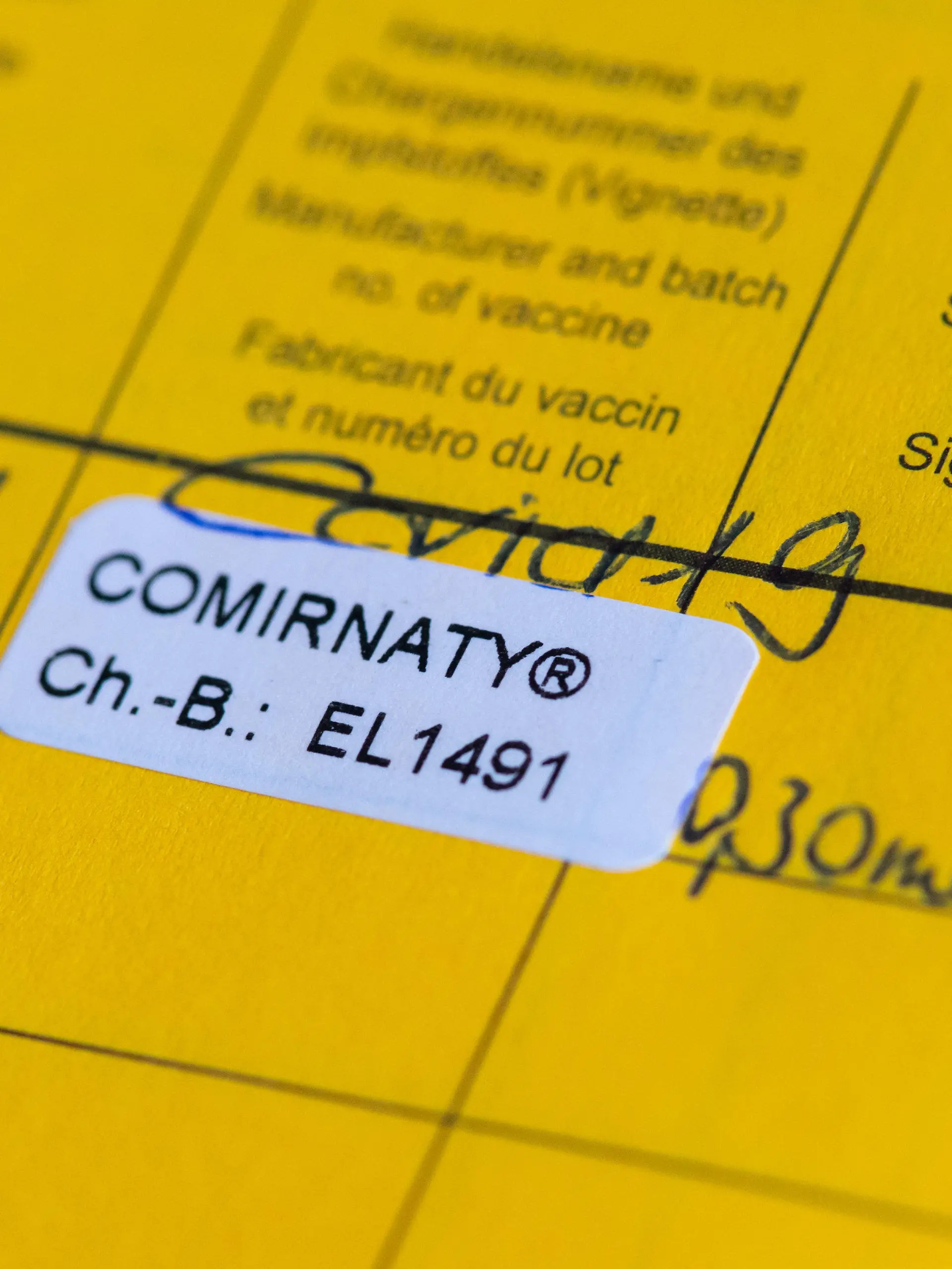 ARCHIV - 10.01.2021, Bayern, Pfaffenhofen a.d.Ilm: Ein Impfpass mit einer eingetragenen Impfung gegen das Corona-Virus SARS-CoV-2 ist im Impfzentrum zu sehen. (zu dpa «Nur wenige Fälle - Polizei findet einige gefälschte Impfpässe») Foto: Sven Hoppe/dpa +++ dpa-Bildfunk +++