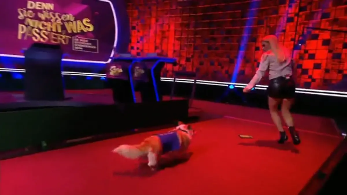 Hier läuft der Hund gerne dem Menschen hinterher