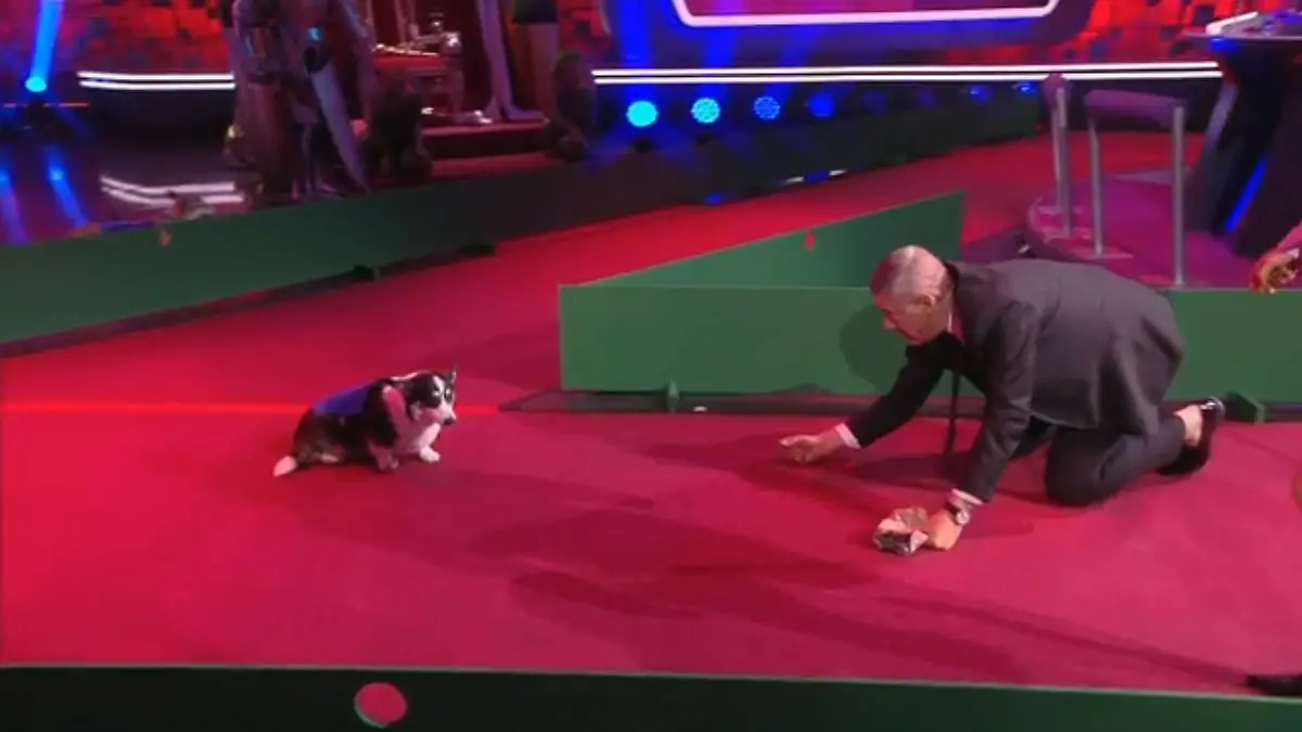 Hier muss der Mensch eher dem Hund hinterherkriechen
