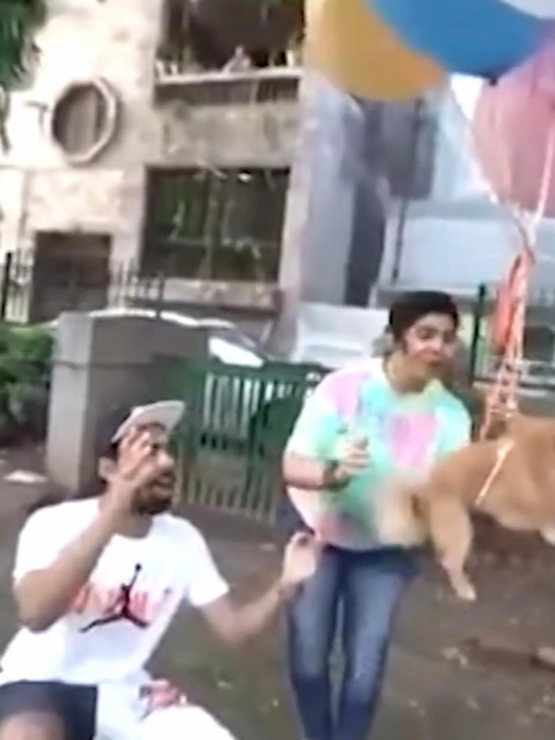 Bild zu: "Youtuber bindet Hund an Ballons "