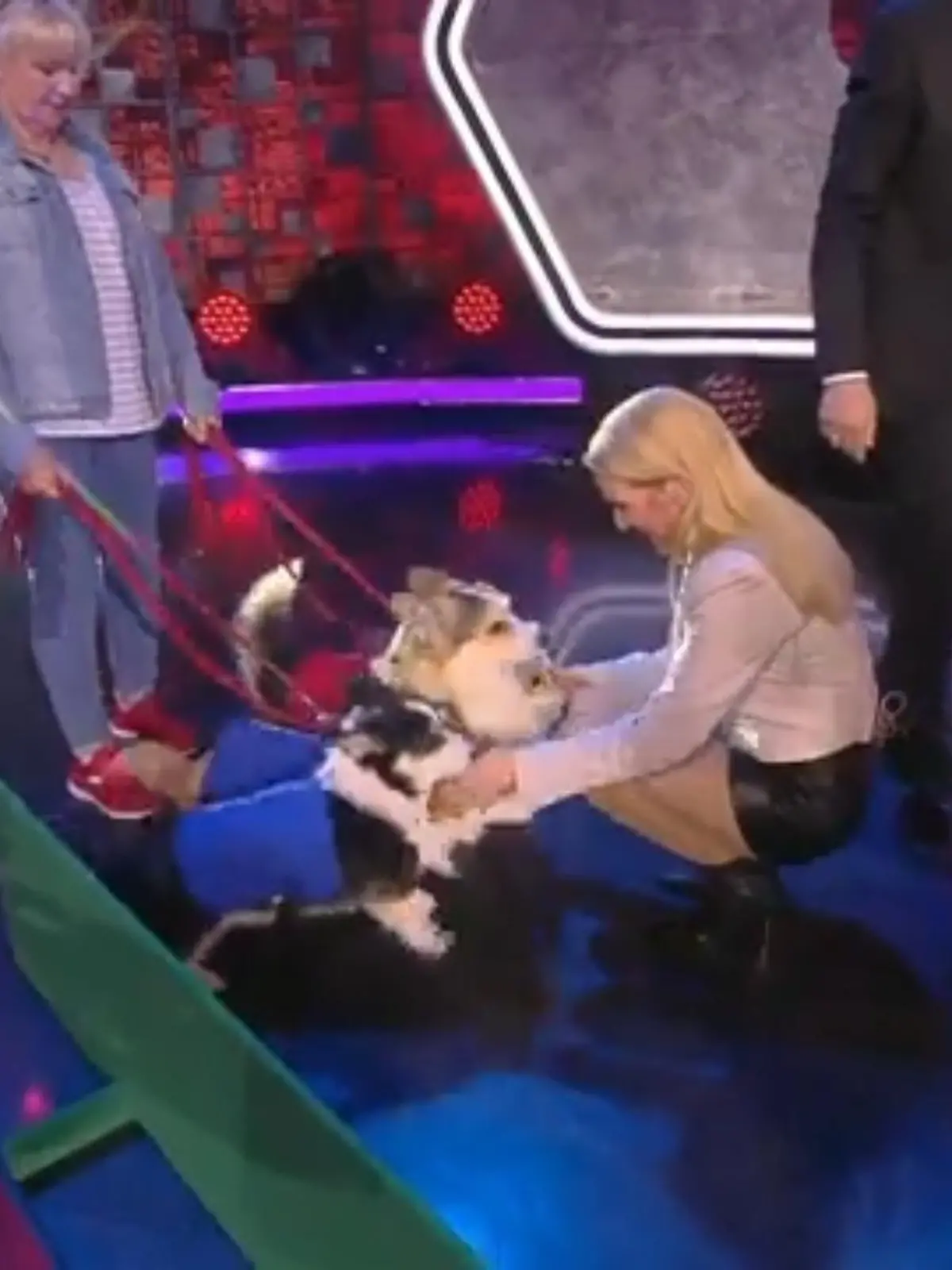 Jeanette Biedermann ist mal wieder schockverliebt