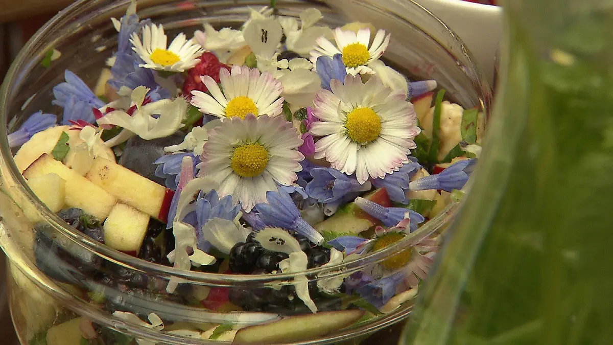 Rezepte mit frischen Früchten