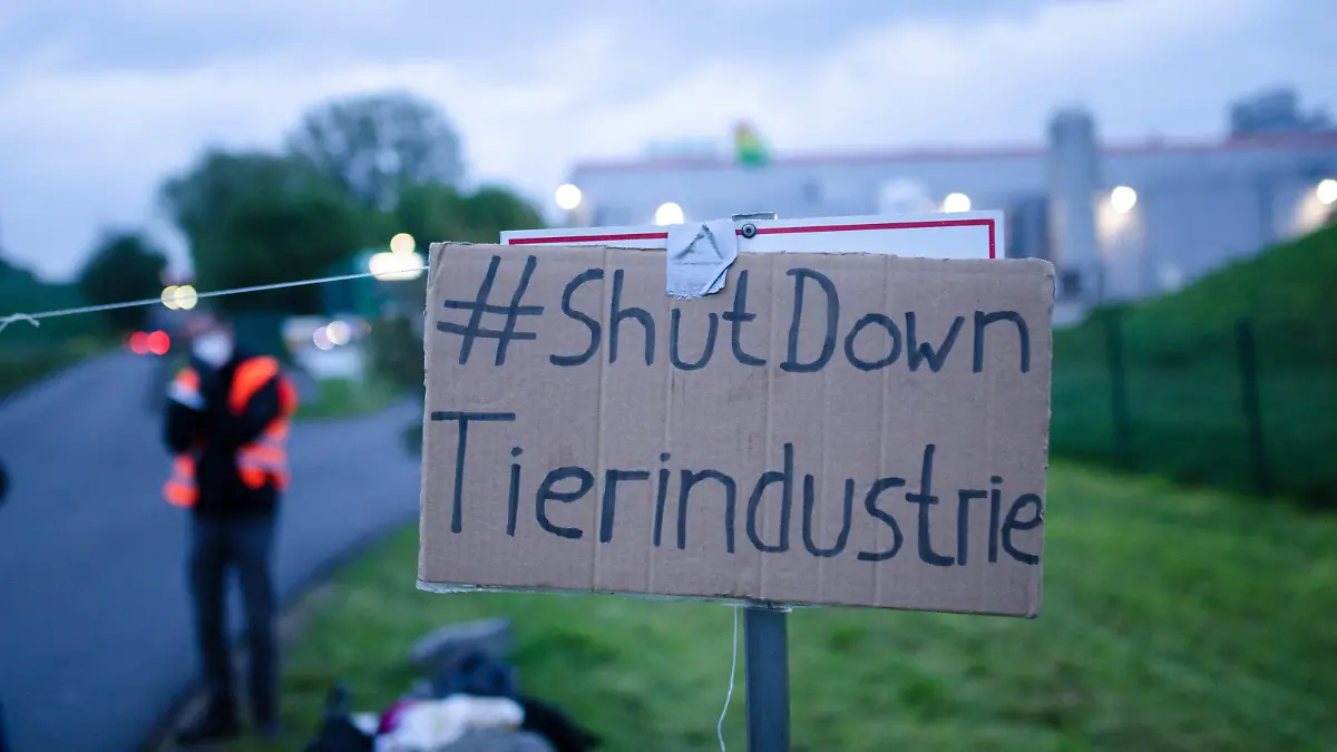 Pappschild mit Forderung "Shut Down Tierindustrie"
