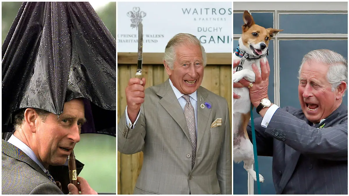 Manchmal muss König Charles zu härteren Maßnahmen greifen. Dann werden Regenschirme aufgespannt, Tortenmesser geschwungen und Hunde hochleben gelassen!