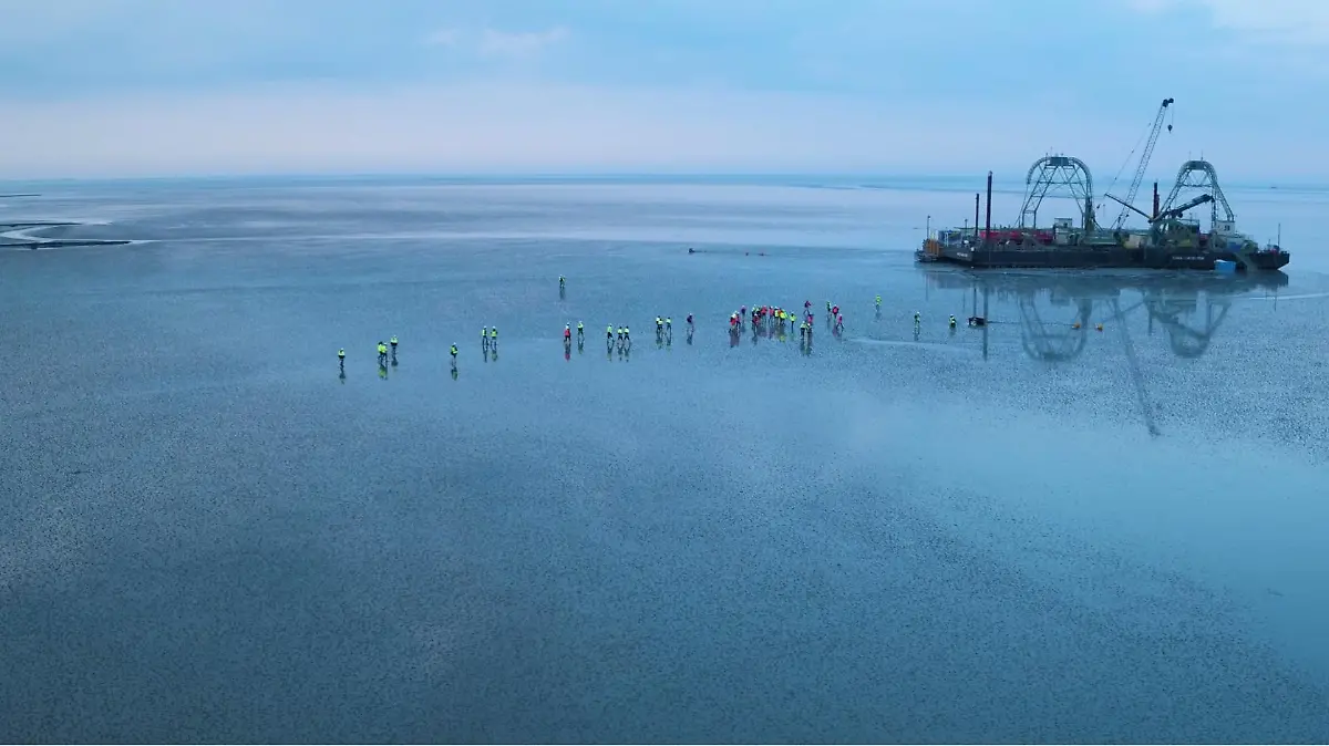 Seekabel trifft bei Büsum auf die Küste.