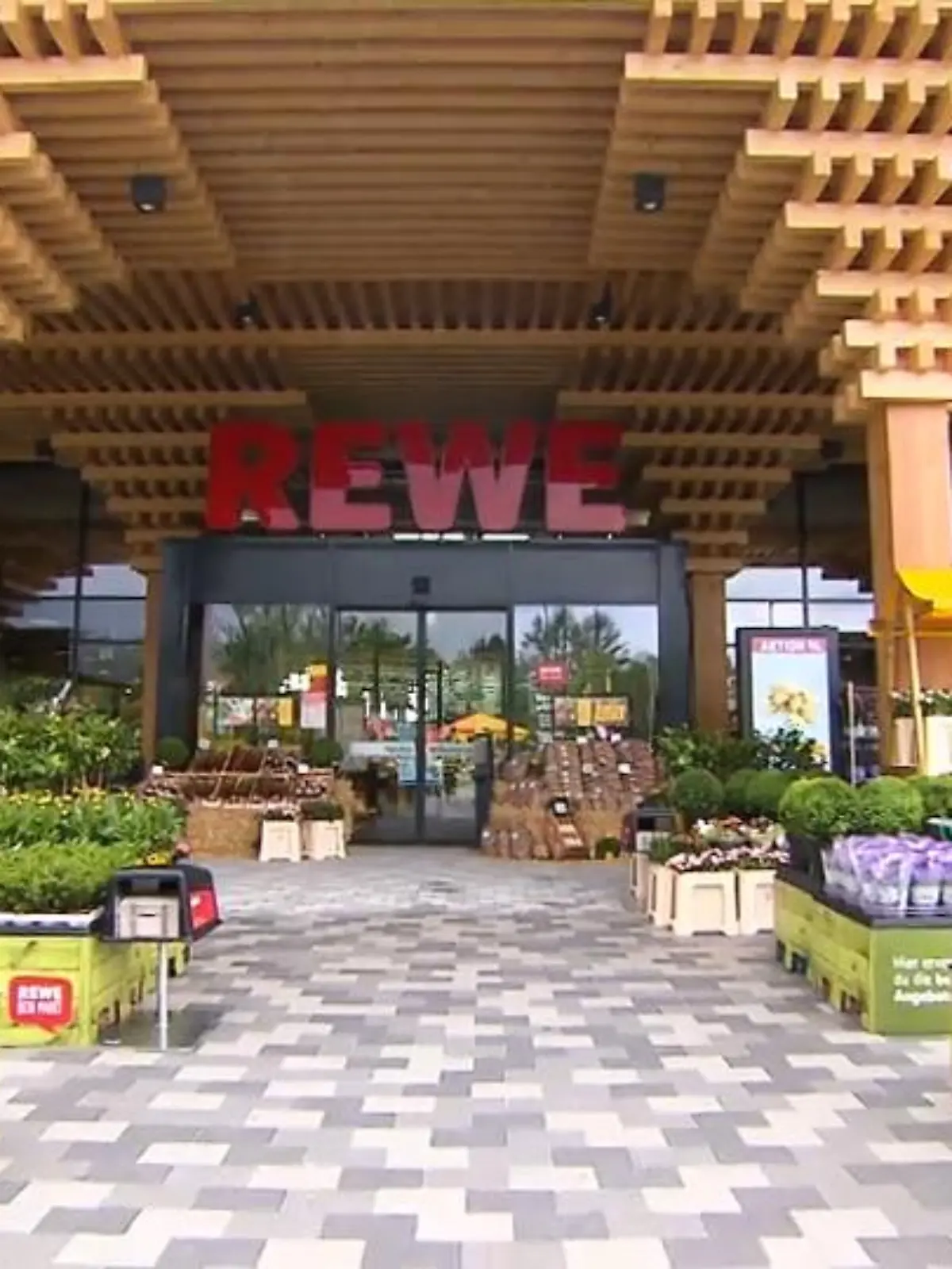 Für besonderes Aufsehen sorgt die Fischzucht, die in dem neuen Supermarkt integriert werden soll. Kombiniert wird die neue Barschzucht mit einer Basilikumfarm. "Die Symbiose aus Barsch und Basilikum besteht im Grunde genommen darin, dass wir Fische haben, diese Fische füttern, die produzieren Ausscheidungen. Und wir wandeln diese Ausscheidungen biologisch um in Pflanzendünger, der im Wasser gelöst ist. Und das ist unser Gießwasser hier fürs Basilikum“, erzählt uns Jürgen Scheider von Rewe im Interview.