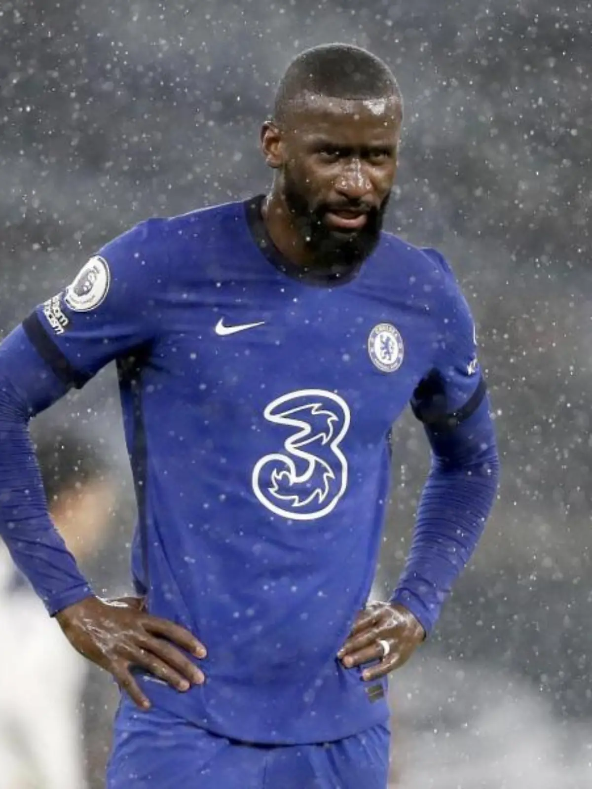 Chelsea-Profi