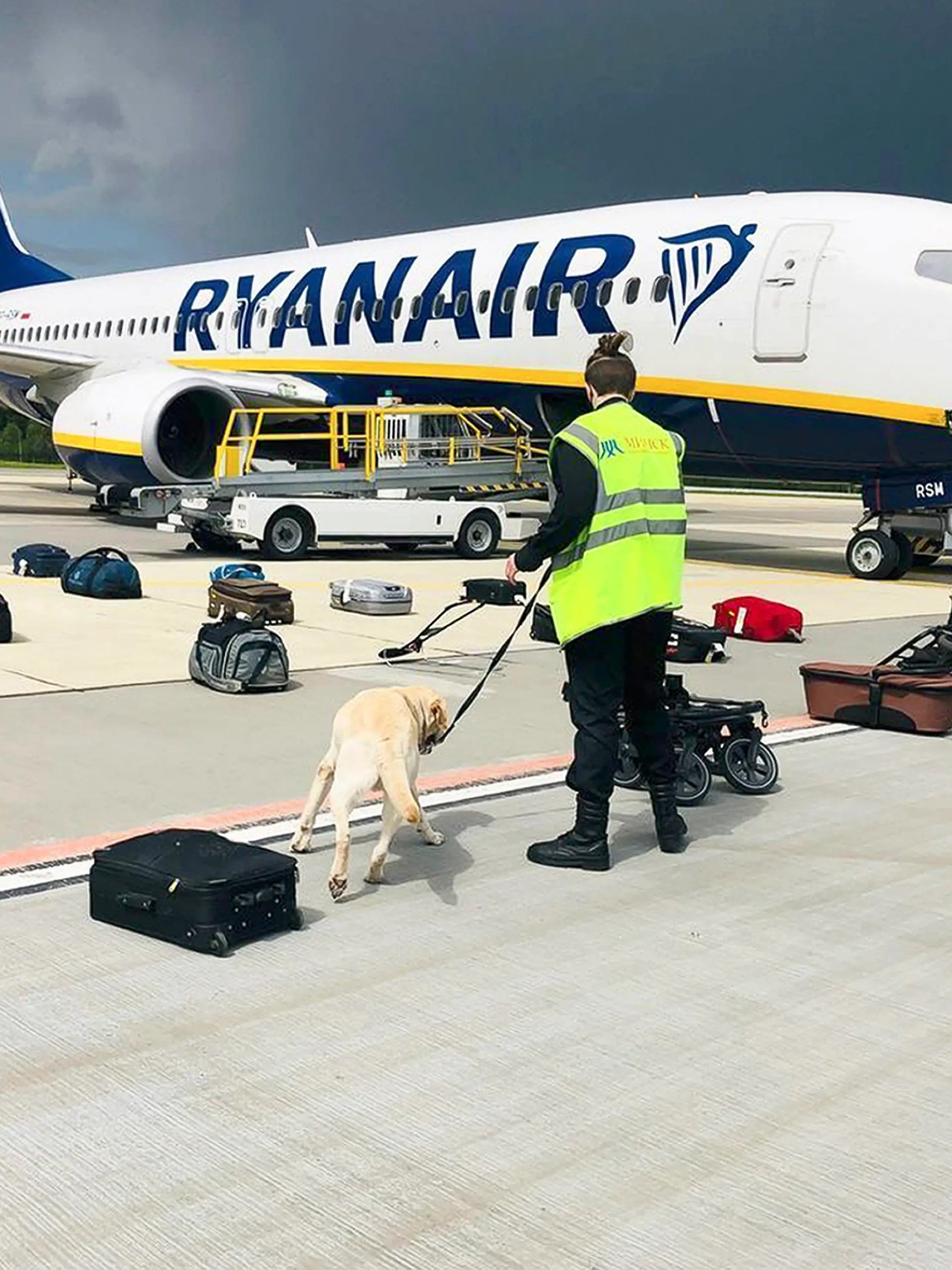 HANDOUT - 23.05.2021, Belarus, Minsk: Eine Sicherheitskraft Spürhund inspiziert mit einem Spürhund das Gepäck eines Ryanair-Flugzeuges. Belarussische Behörden hatten das Flugzeug auf dem Weg von Athen nach Vilnius zur Landung gebracht. An Bord der Maschine war nach Angaben des Menschenrechtszentrums Wesna auch der vom belarussischen Machthaber Lukaschenko international gesuchte Blogger Protassewitsch, der demnach in Minsk festgenommen wurde. Foto: Uncredited/ONLINER.BY/AP/dpa - ACHTUNG: Nur zur redaktionellen Verwendung im Zusammenhang mit der aktuellen Berichterstattung und nur mit vollständiger Nennung des vorstehenden Credits. Verwendung nur bis zum 06.06.2021. +++ dpa-Bildfunk +++