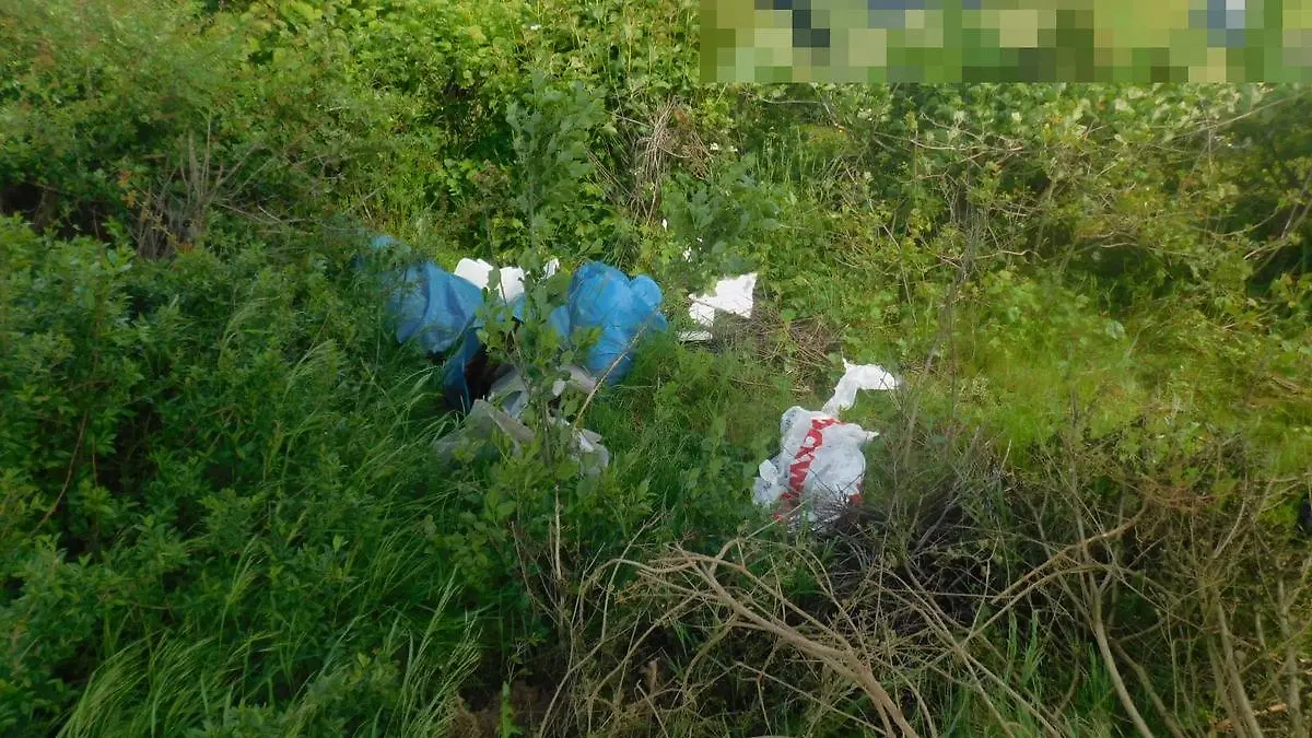 Die illegale Müllhalde, auf der die Kätzchen gefunden wurden.
