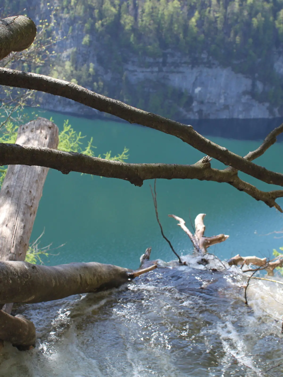 10.05.2021, Bayern, Schönau a. Königssee: Die Gumpe am Königsbach-Wasserfall bei Schönau am Königssee. Unbekannte haben eine Buche gefällt, die nun den Blick für die Instagram-Fotos verschandelt. Deshalb wird nun der darunter gelegene Pool benutzt. (zu dpa: Selfie-Touristen - Debatte um Betretungsverbot im Nationalpark) Foto: Sabine Dobel/dpa +++ dpa-Bildfunk +++