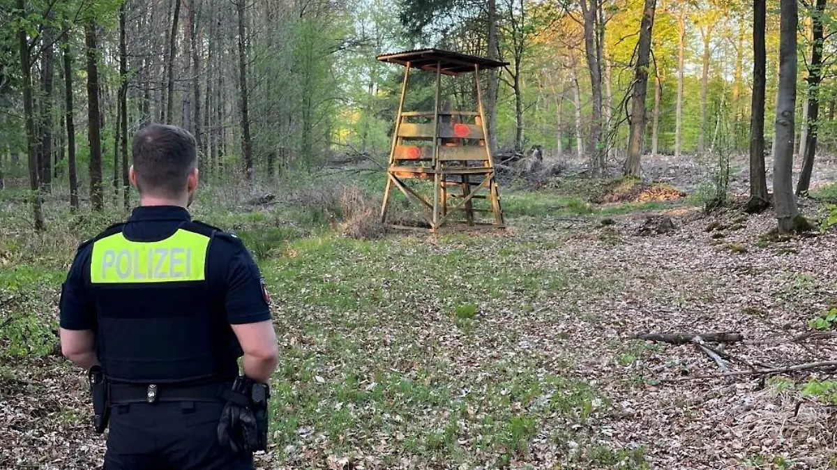 Tatort Wald mit Hochsitz