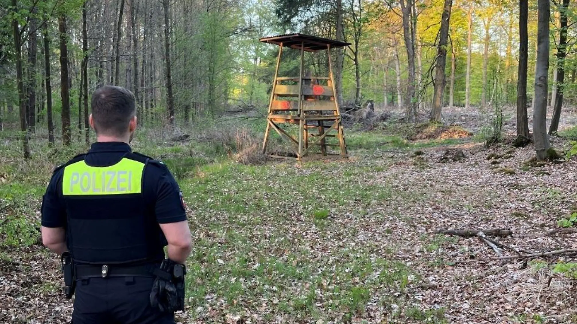 Tatort Wald mit Hochsitz