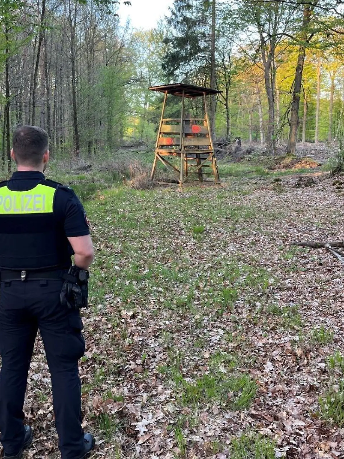 Tatort Wald mit Hochsitz