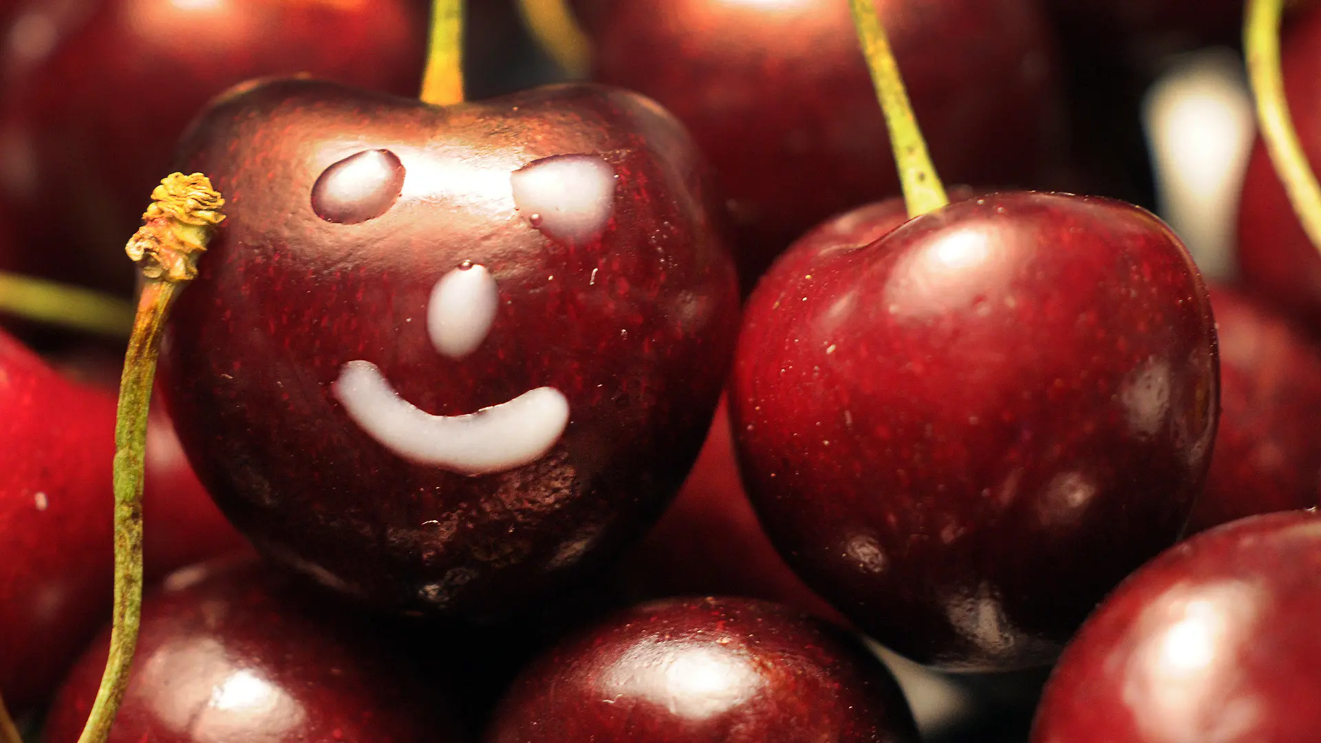 ILLUSTRATION - Eine Süßkirsche mit einem Smiley aus Zuckerguss liegt am Donnerstag (01.07.2010) in Gevelsberg in einer Schale. Die Saison für Süßkirschen hat in Nordrhein-Westfalen mit etwas Verspätung begonnen. Noch bis in den August hinein sind jetzt frische heimische Früchte zu haben. Von Mitte Juli an runden Sauerkirschen das Sortiment ab. Foto: Jonas Güttler dpa/lnw +++(c) dpa - Bildfunk+++