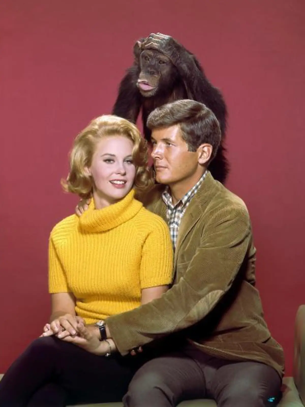Cheryl Miller als Paula Tracy und Yale Summers als Jack Dane mit der Schimpansin Judy in einer Szene der amerikanischen TV-Serie "Daktari", die zwischen 1966 und 1969 entstand und auch im deutschen Fernsehen gezeigt wurde.