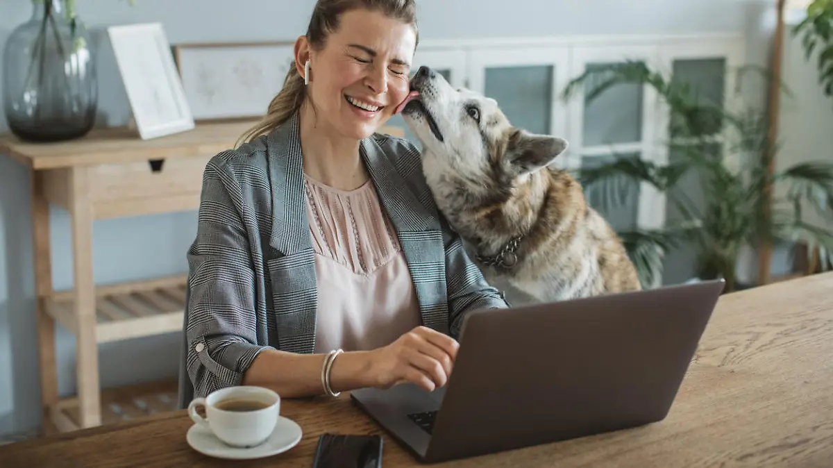 Frau mit Hund im Büro