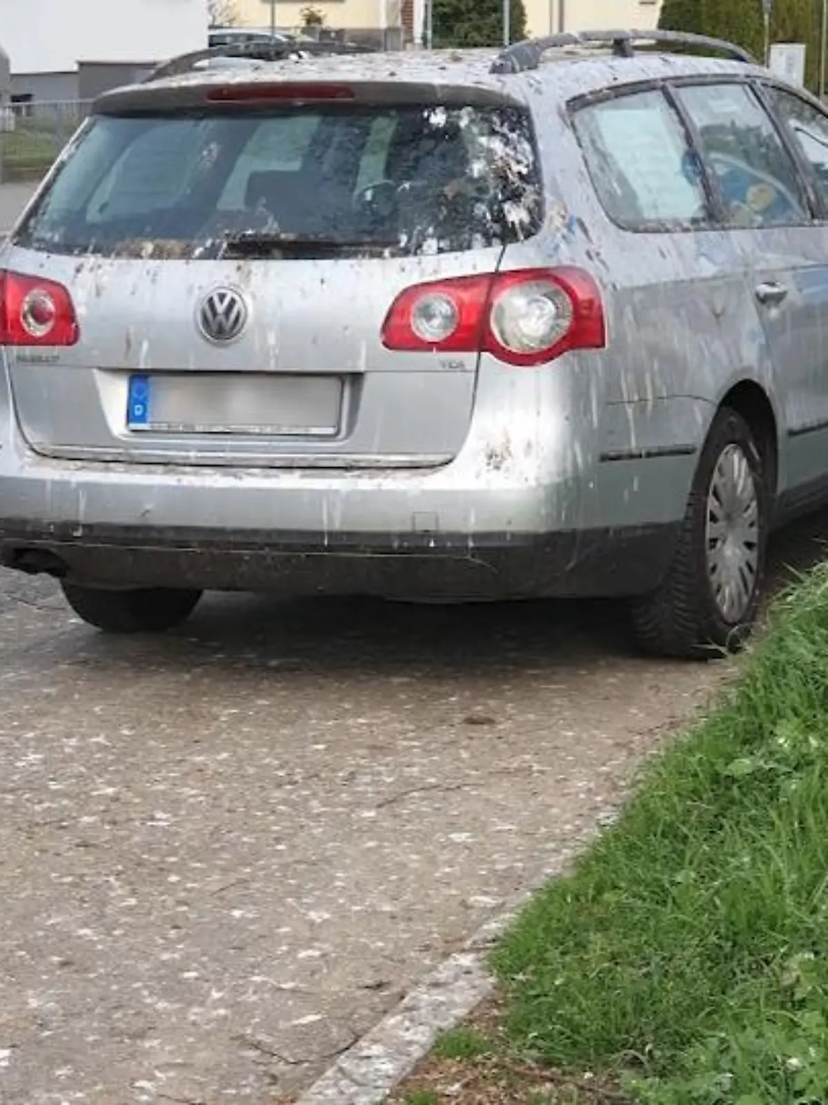 Die Stimmung und Lage in Frankfurt Bonames sind noch immer - wie soll man es anders sagen - beschissen. Der Tankwart bringt es für uns auf den Punkt: „Krähenplage ohne Ende. Dreck ohne Ende. Lärm ohne Ende. Da kommt man mit dem Saubermachen gar nicht hinterher. Durch die Scheißviehcher.“ Mehr als 100 Krähen koten hier tagtäglich alles voll, bauen Nest an Nest und breiten sich immer weiter aus.