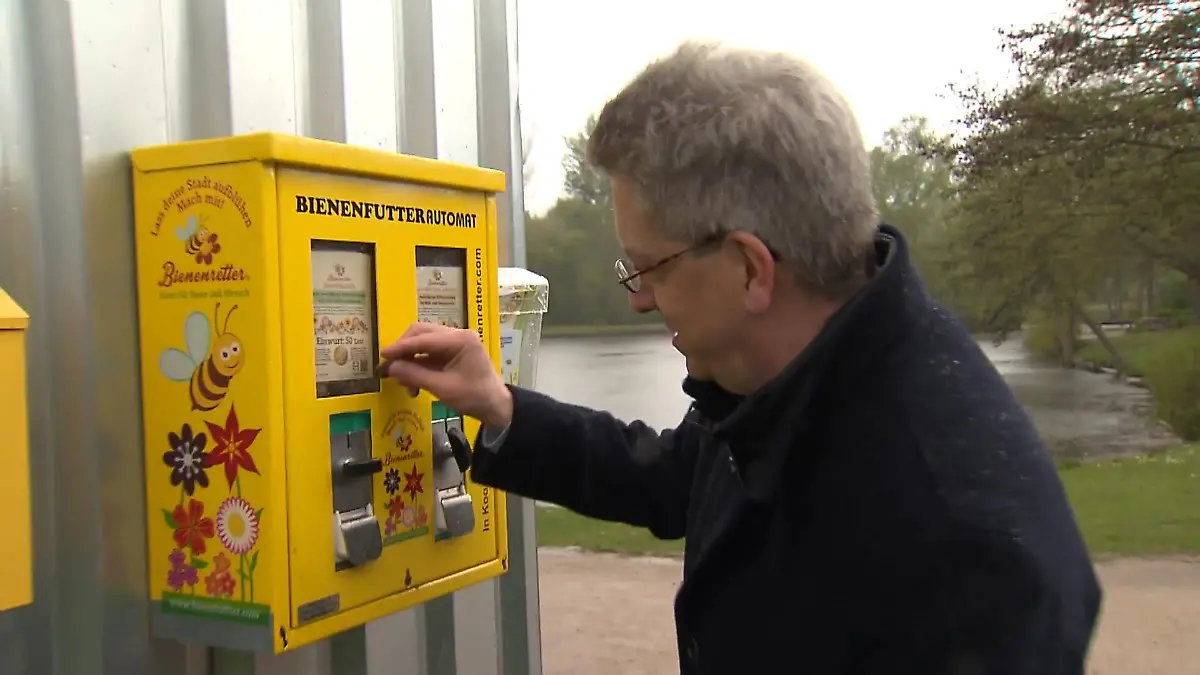 balkonkasten künstliche geranien Künstliche Geranienpflanze im Balkonkasten – L29 x B13 x H40 cm – Rosa –  Tannendiele BlumenGut Düsseldorf