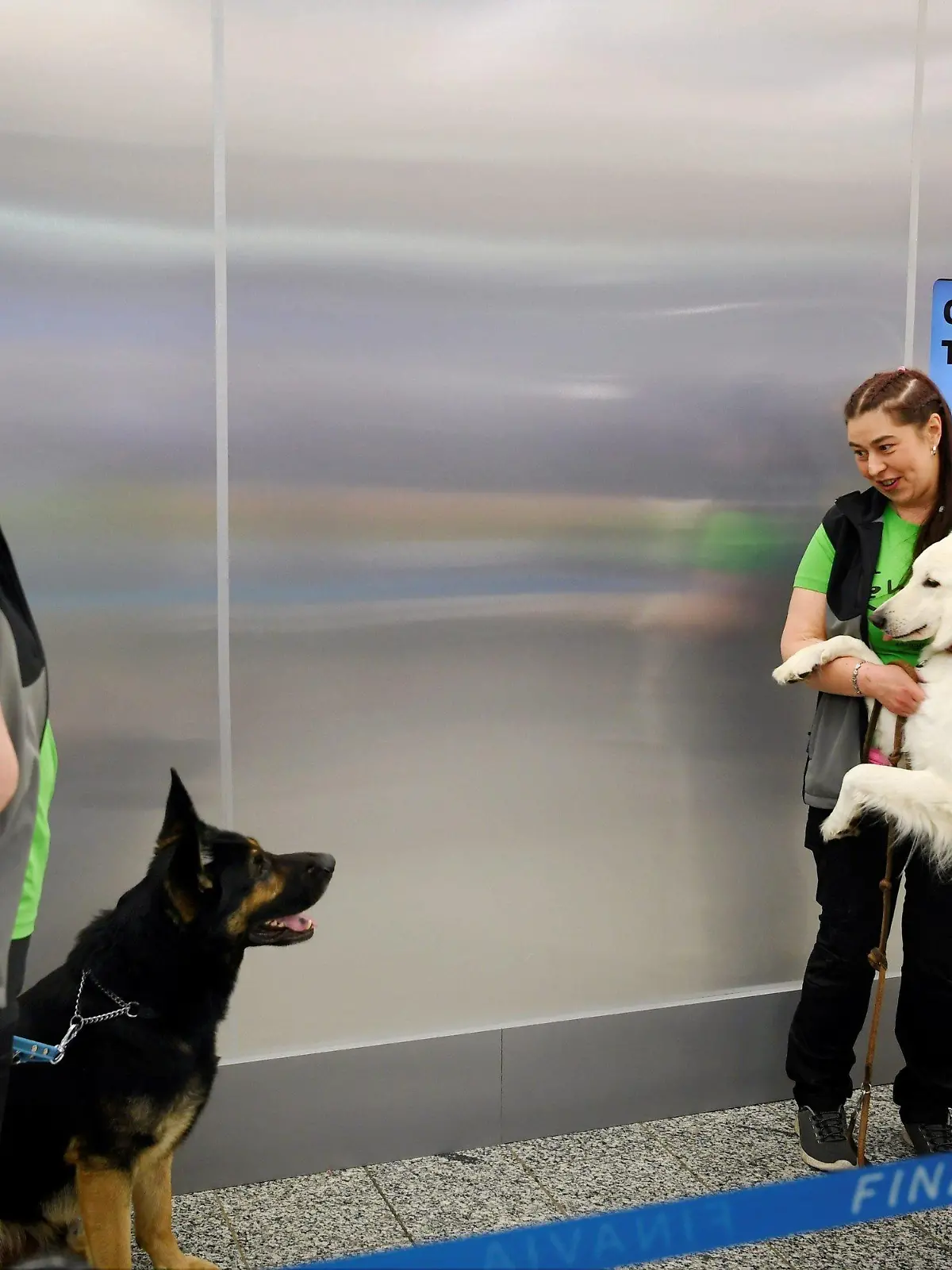 22.09.2020, Finnland, Vantaa: Die Spürhunde Valo (l) und E.T. stehen mit ihren Trainern während einer Pressekonferenz hinter einer Absperrung am Flughafen Helsinki-Vantaa. Vier speziell ausgebildete Hunde demonstrierten bei der Pressekonferenz ihre Fähigkeit, Corona-Infektionen bei Menschen zu erschnüffeln, noch bevor diese Symptome zeigten. Foto: Antti Aimo-Koivisto/STT/Lehtikuva/dpa +++ dpa-Bildfunk +++