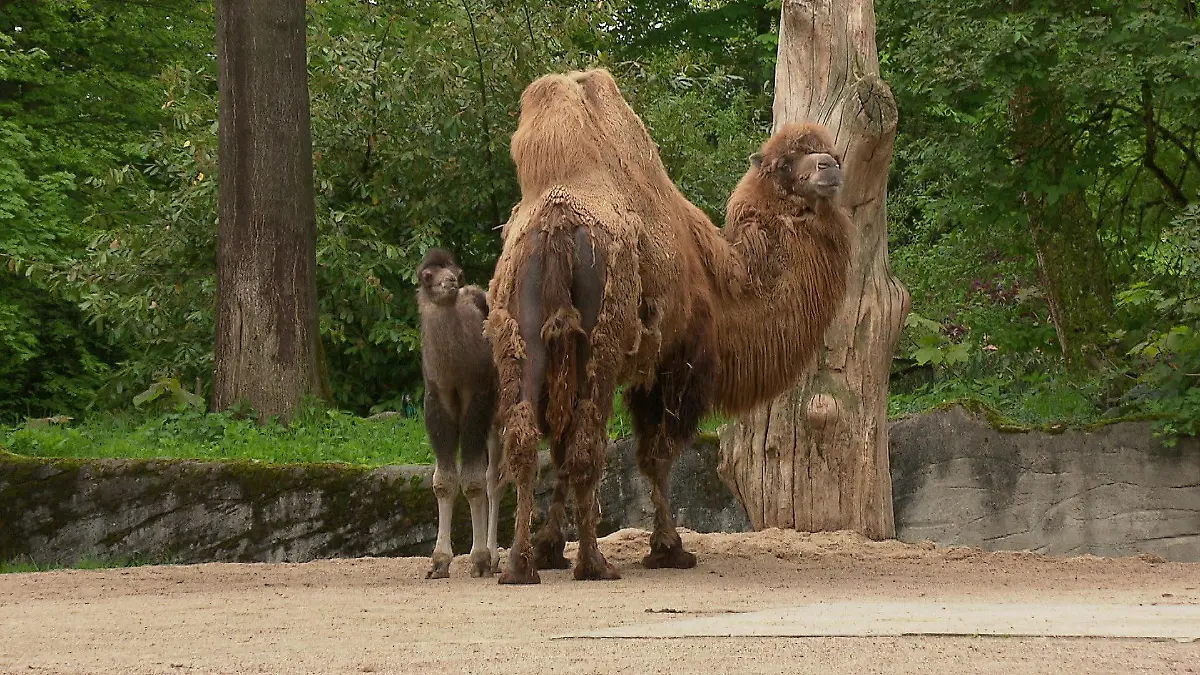 Die kleine Silke versteckt sich noch oft schüchtern hinter Mama Samira.