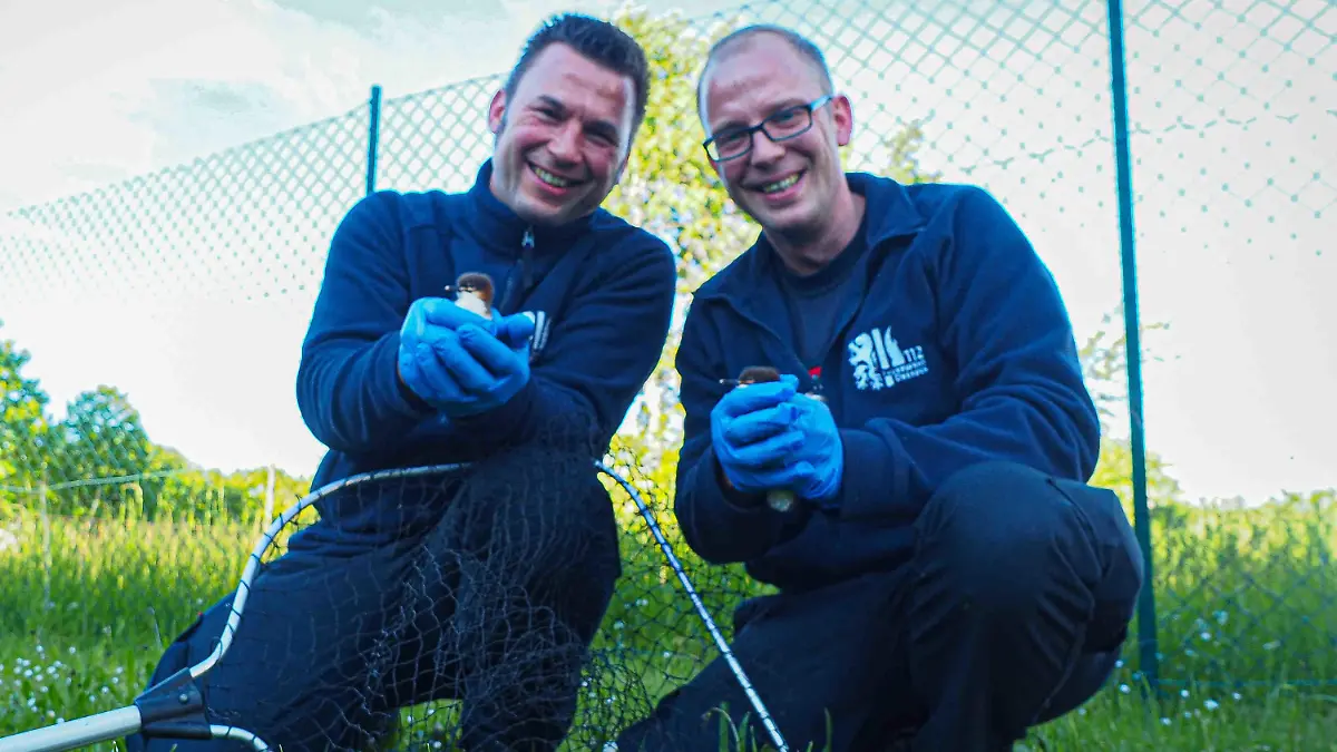 Tierischer Einsatz für die Feuerwehr Dresden: Am Montagabend rückten die Kameraden der Feuerwache 2 zu einem besonderen Einsatz an die Steinstraße aus. Gemeldet wurde eine Entenfamlie (offenbar) auf Irrwegen. Für die Jungs der Feuerwehr stellte sich