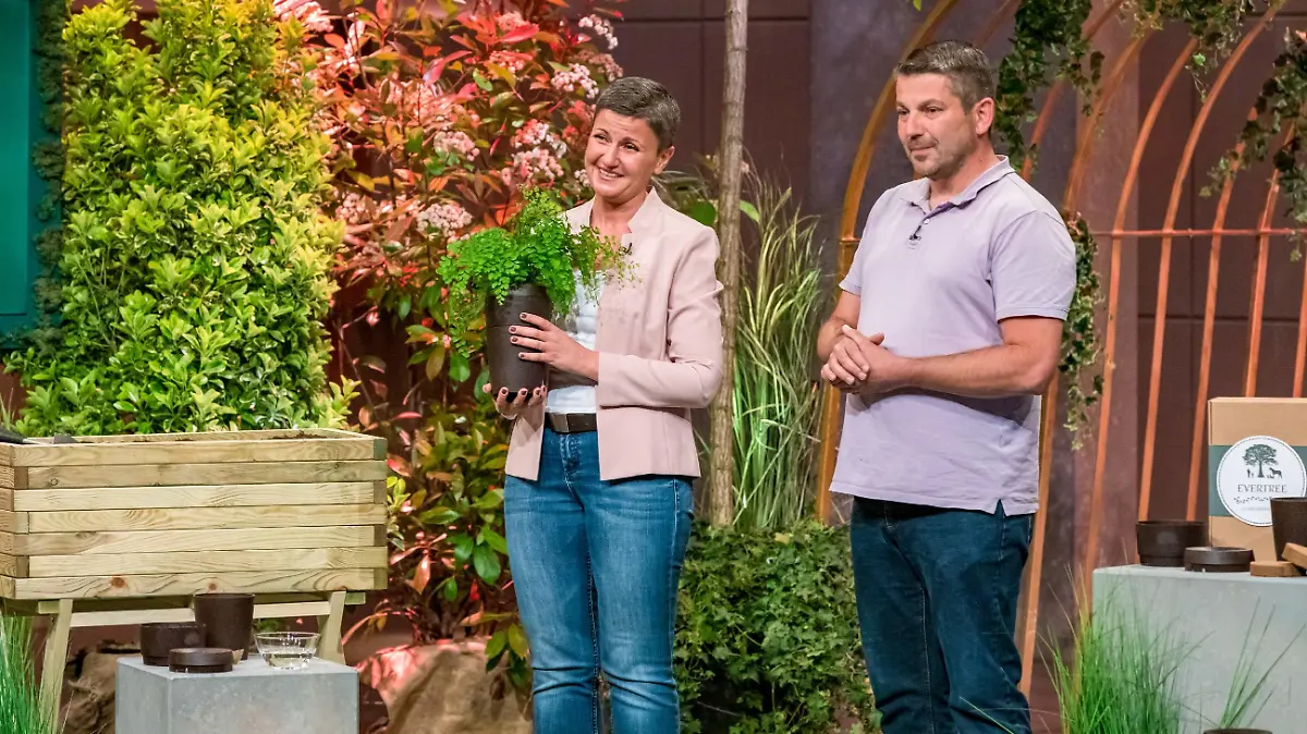 Helena und Andreas Hohnke aus Düsseldorf präsentieren mit _EVERTREE" eine Urne bei der aus der Asche ein Baum wächst. Sie erhoffen sich ein Investment von 75.000 Euro für 33 Prozent der Anteile an ihrem Unternehmen.  Die Verwendung des sendungsbezogenen Materials ist nur mit dem Hinweis und Verlinkung auf TVNOW gestattet.