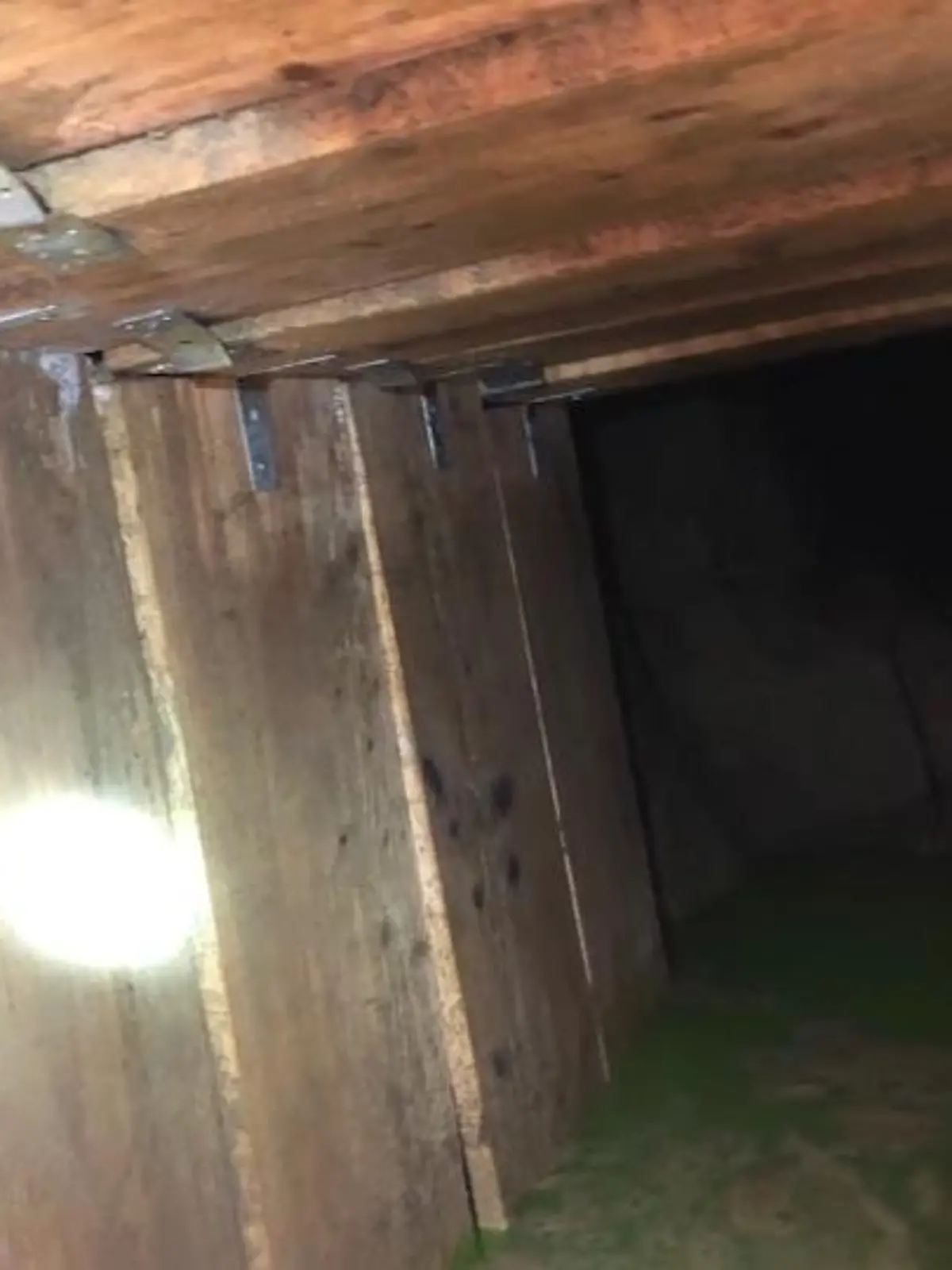 Bild zu: "Unbekannte buddeln Tunnel zu Bank"